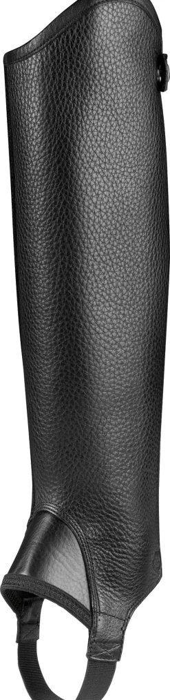 Ariat® Concord Half Chaps