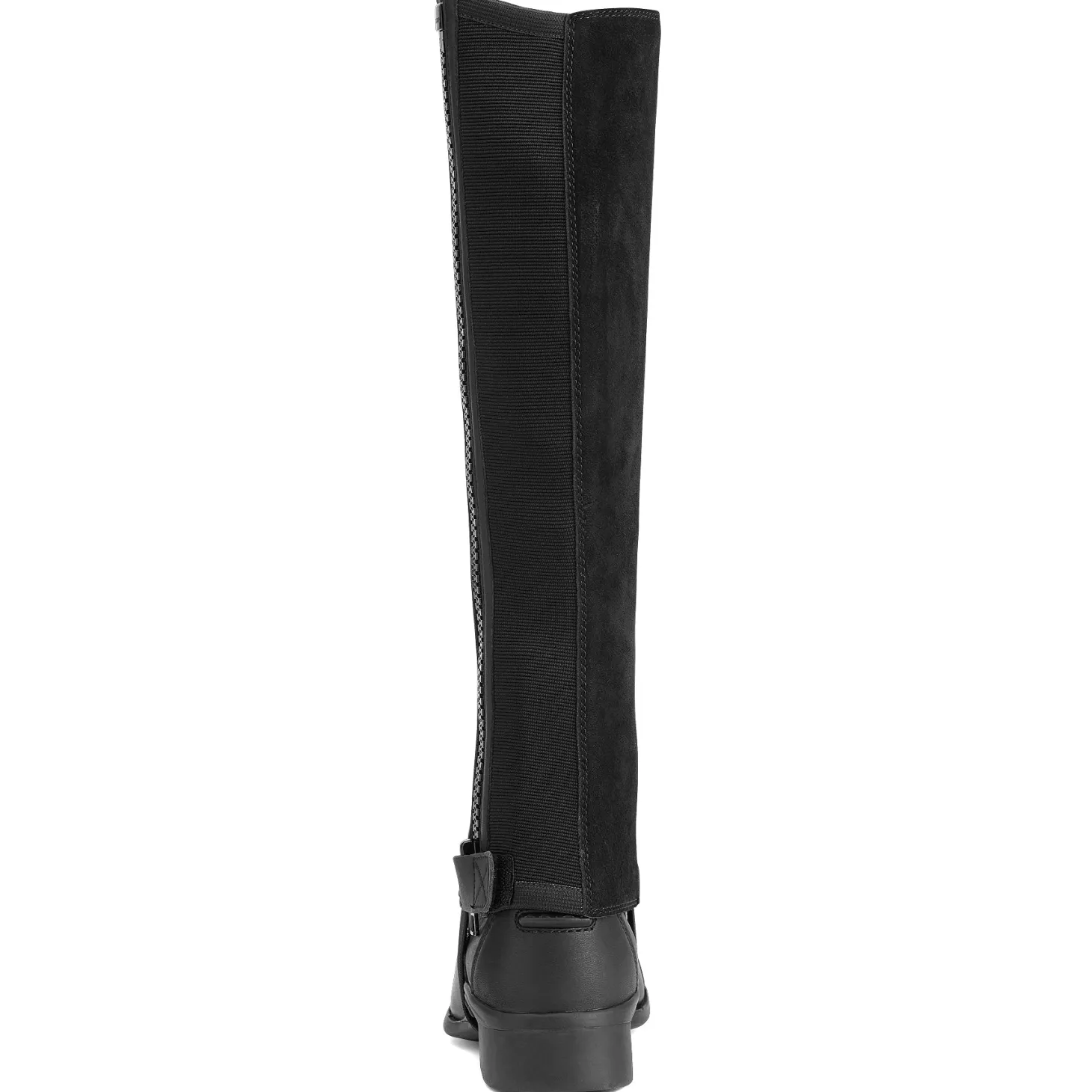 Ariat® Scout Half Chap
