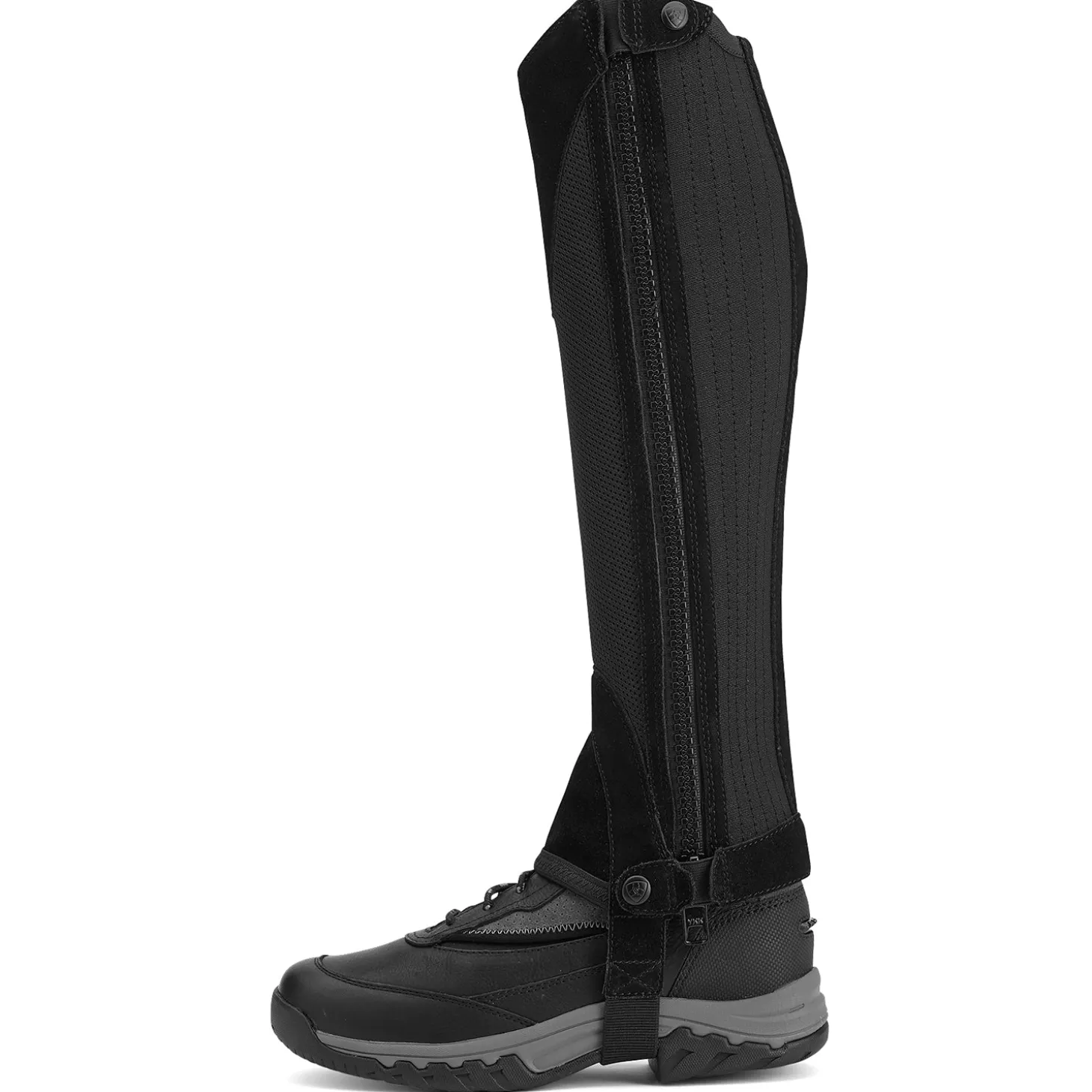 Ariat® Terrain II Half Chap