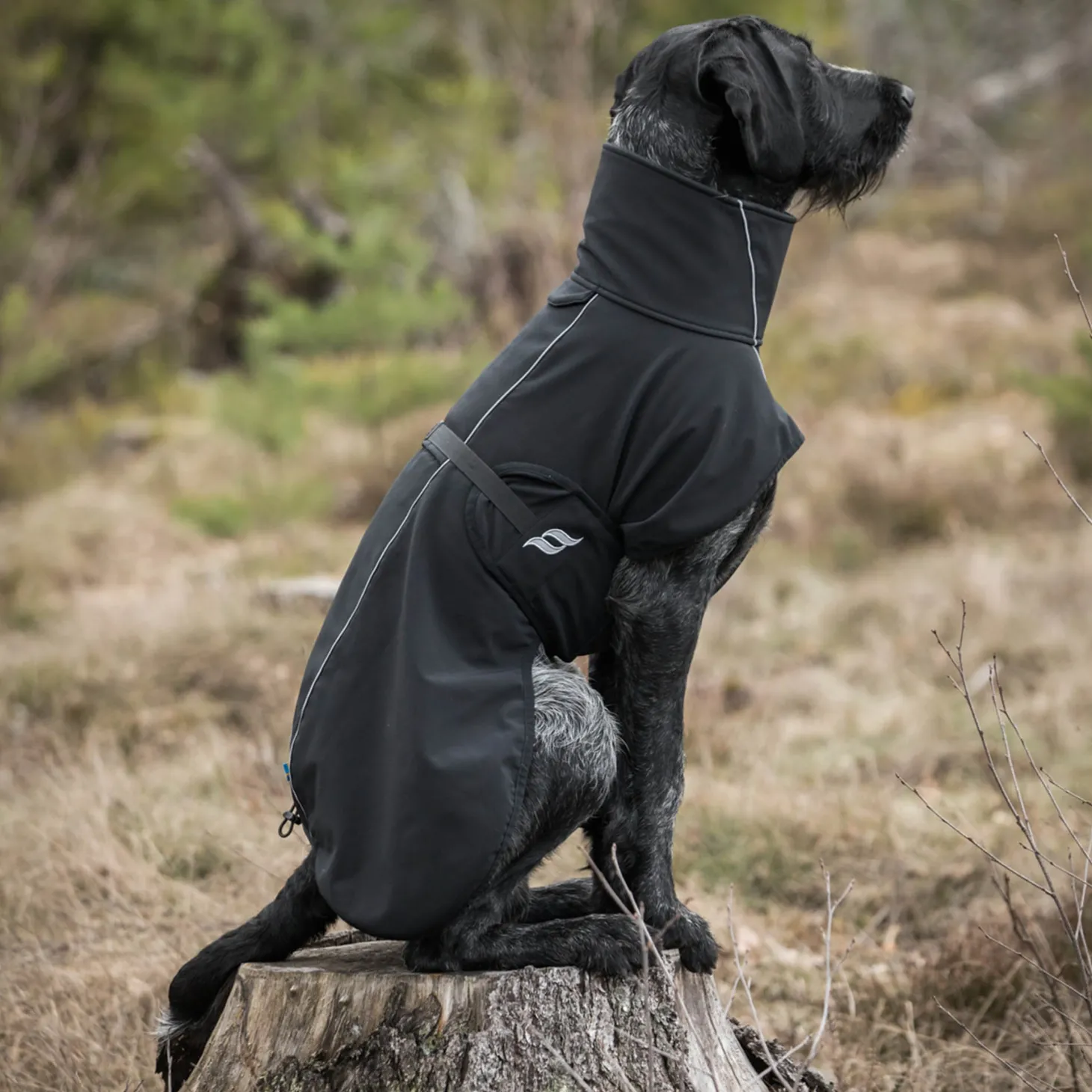 Back on Track® Bark Large Dog Coat