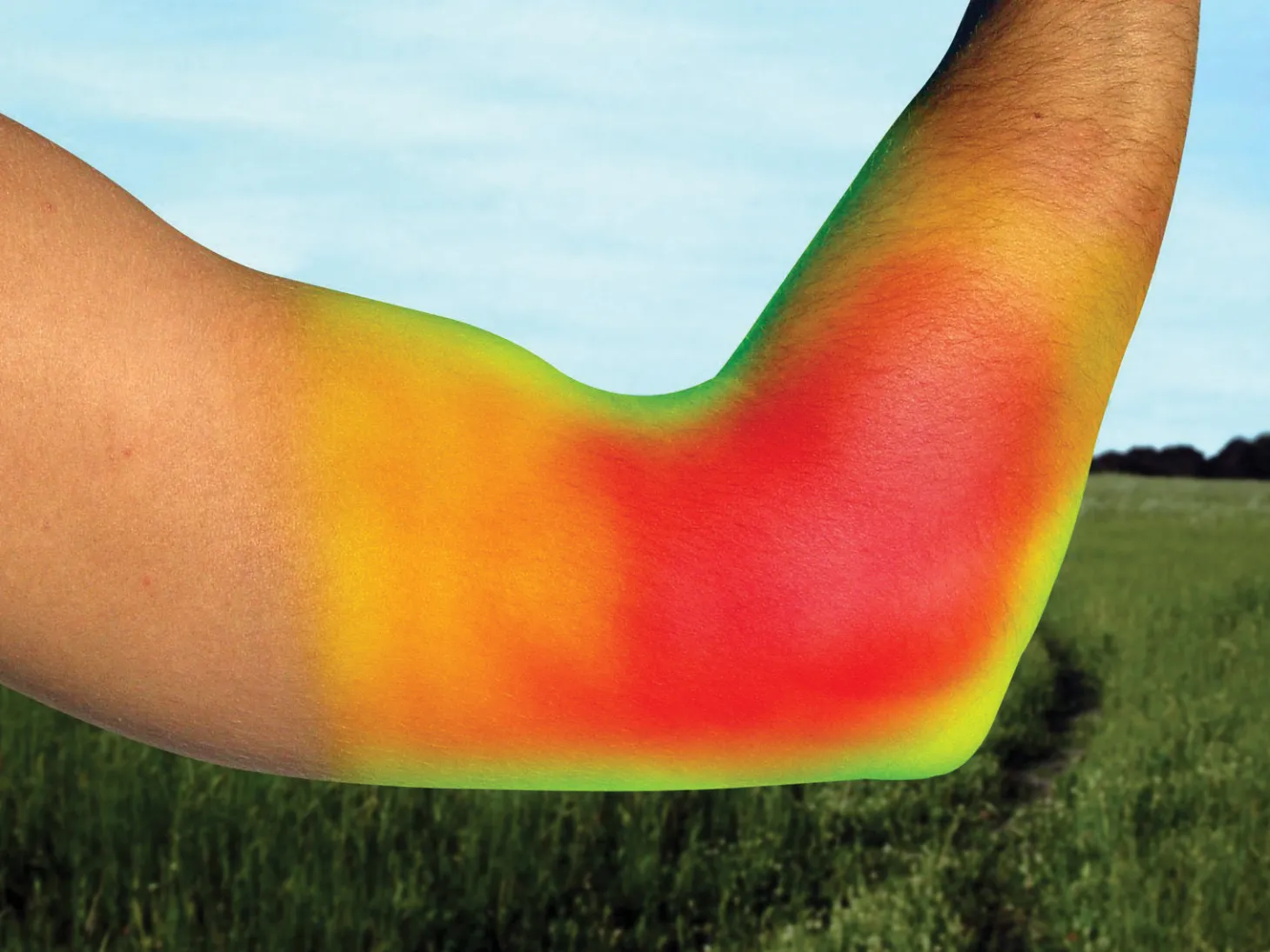 Back on Track® Elbow Brace