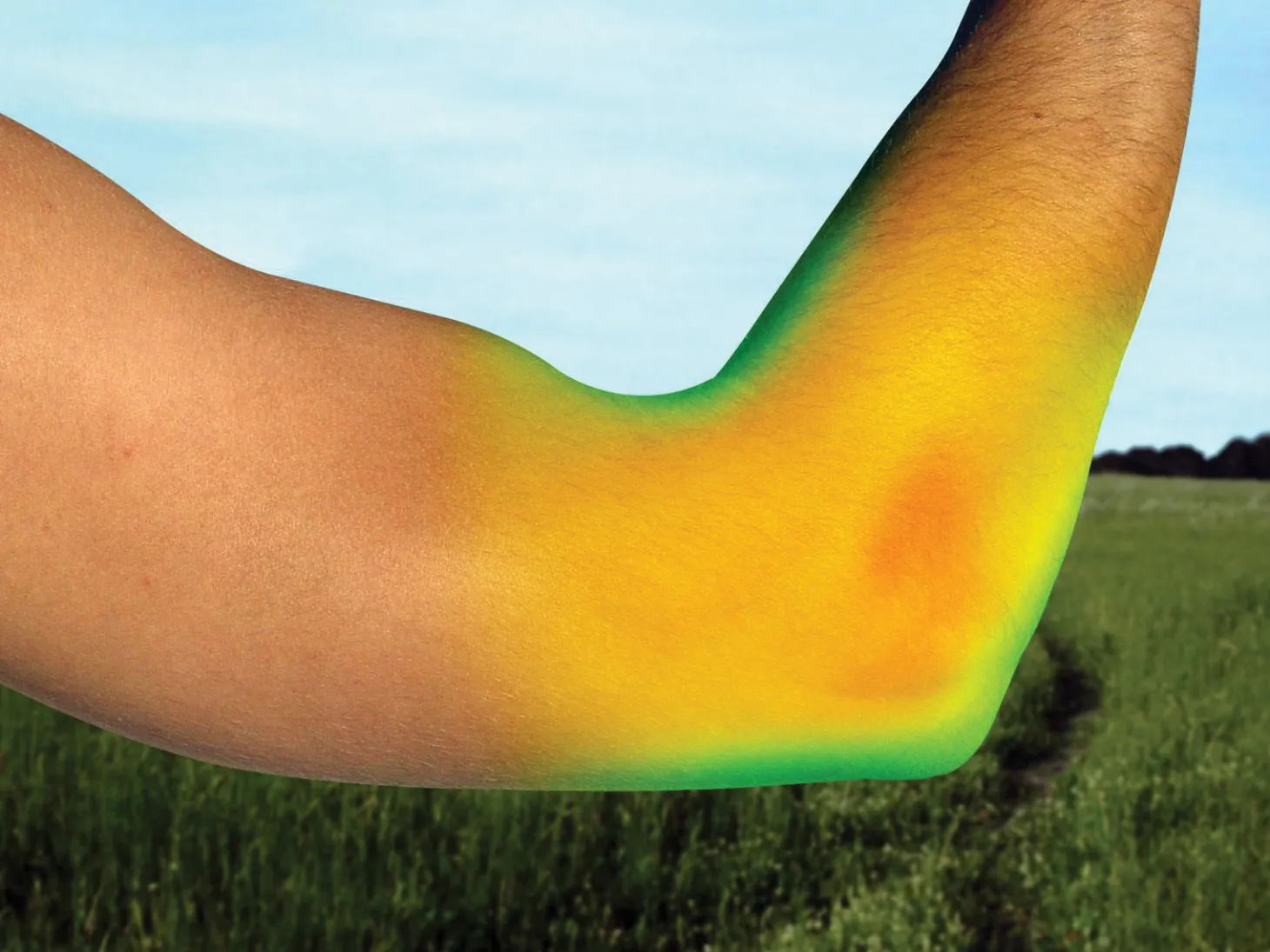 Back on Track® Elbow Brace