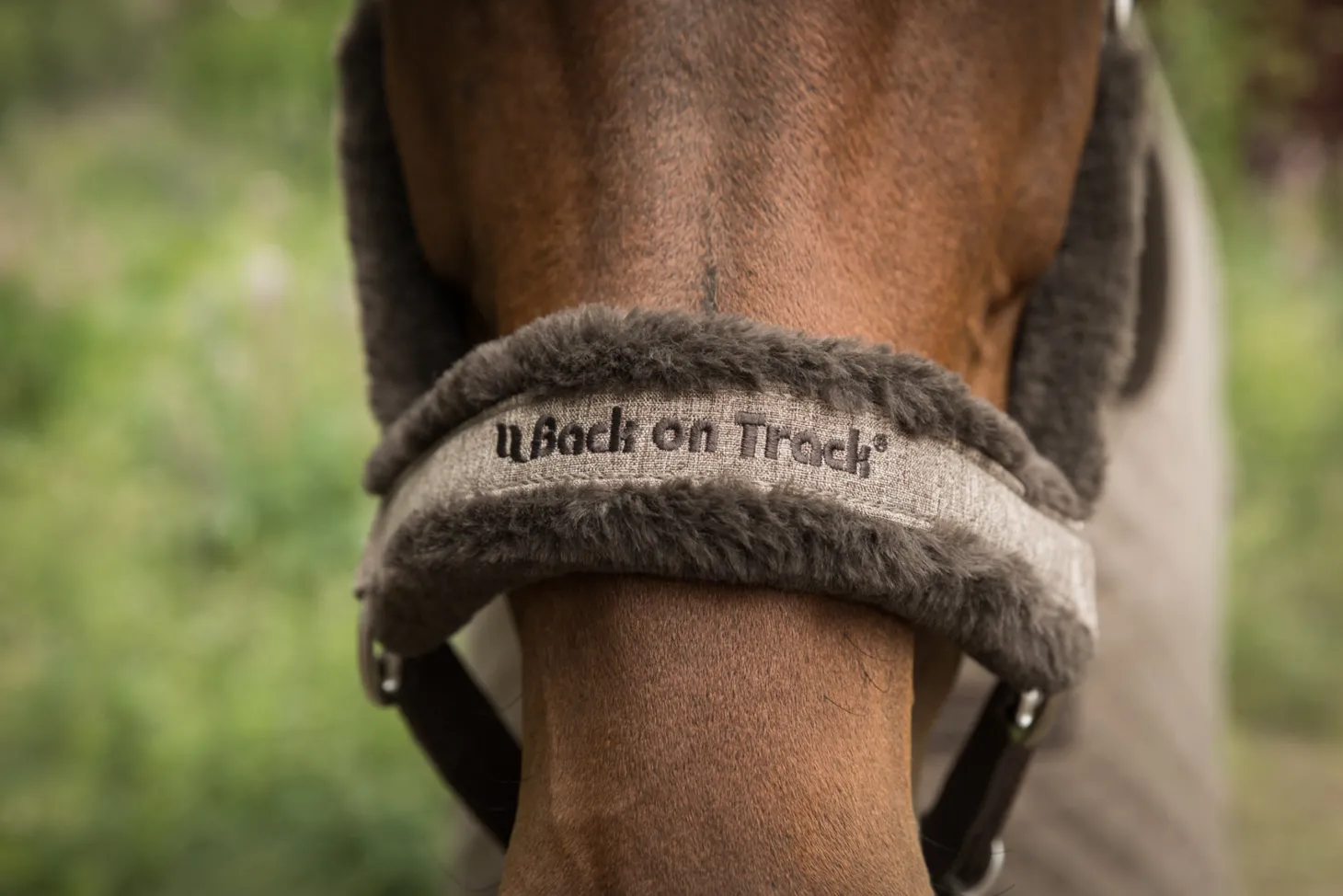 Back on Track® Haze Collection Halter