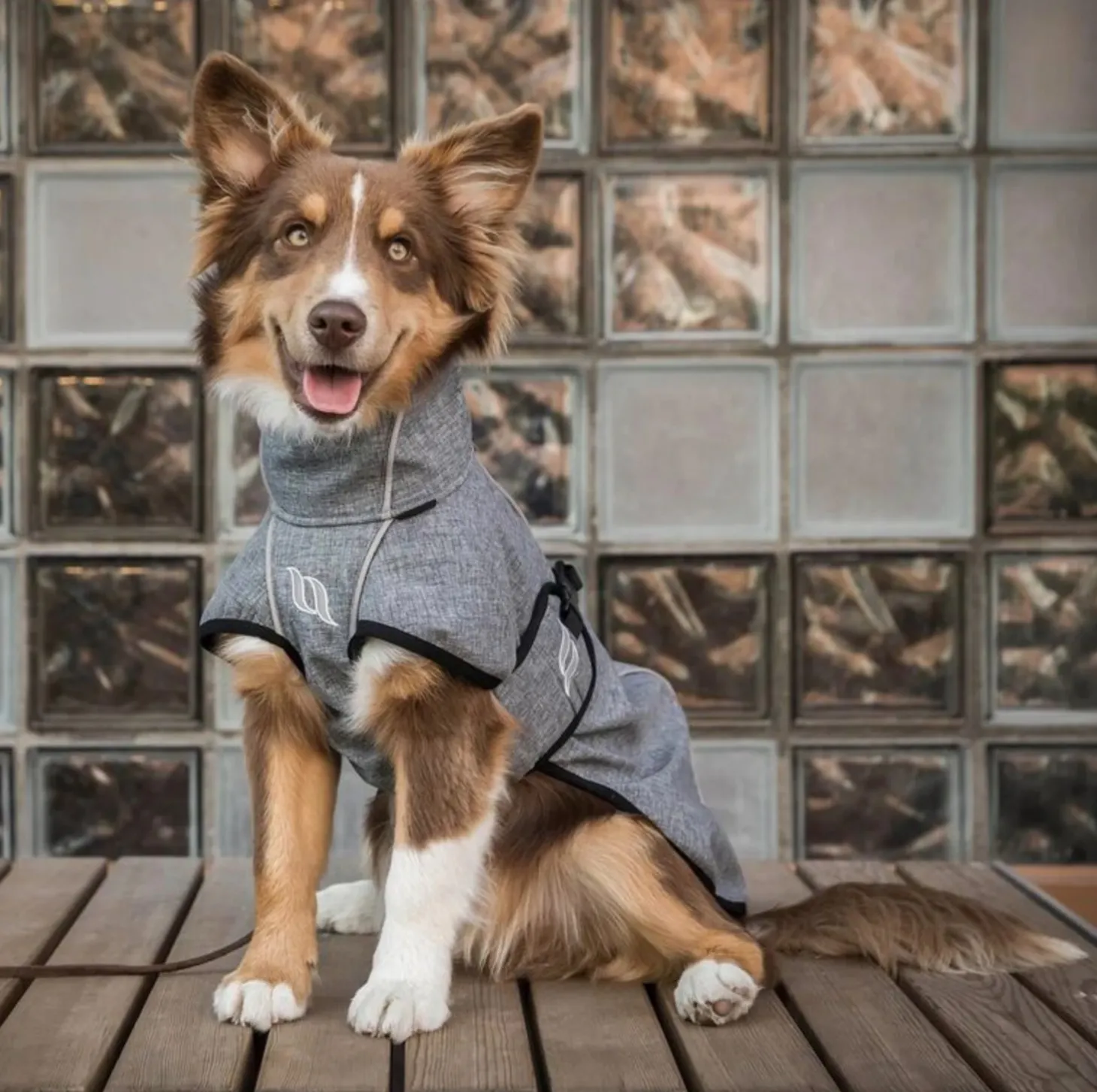 Back on Track® Nella Medium Dog Coat