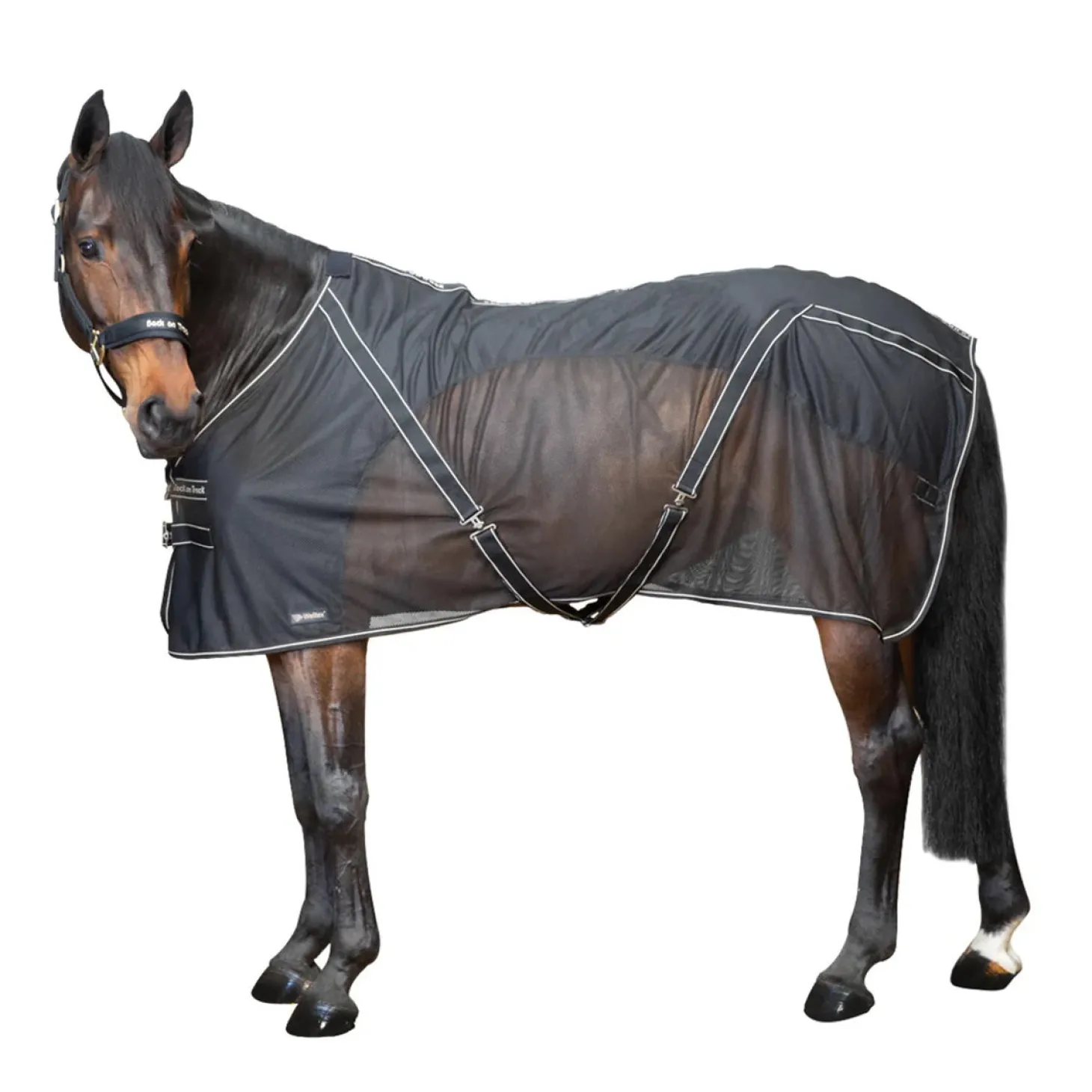 Back on Track® Sienna Mesh Cooler with Knitted Lining
