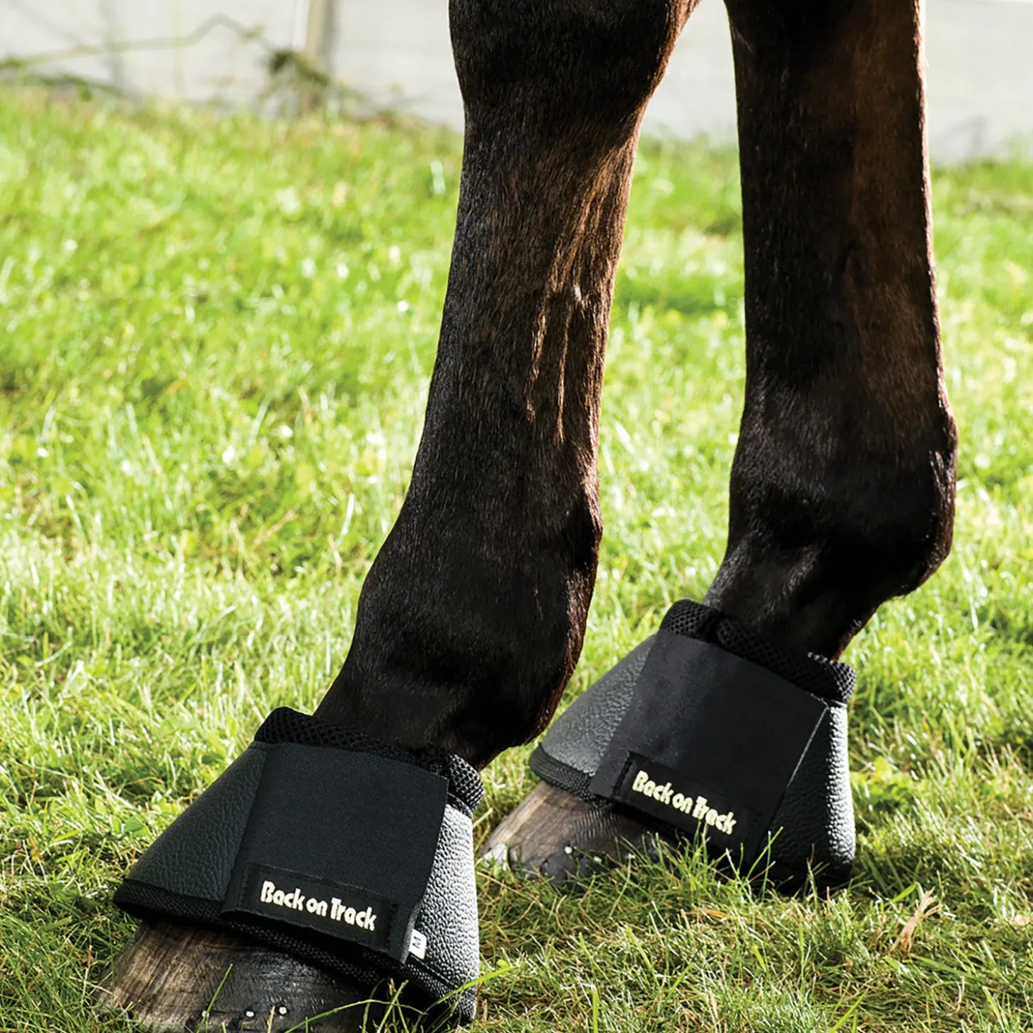 Back on Track® Universal Bell Boots