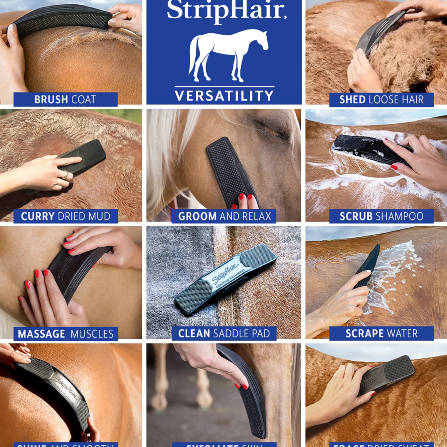 Betty’s Best StripHair® Gentle Groomer™