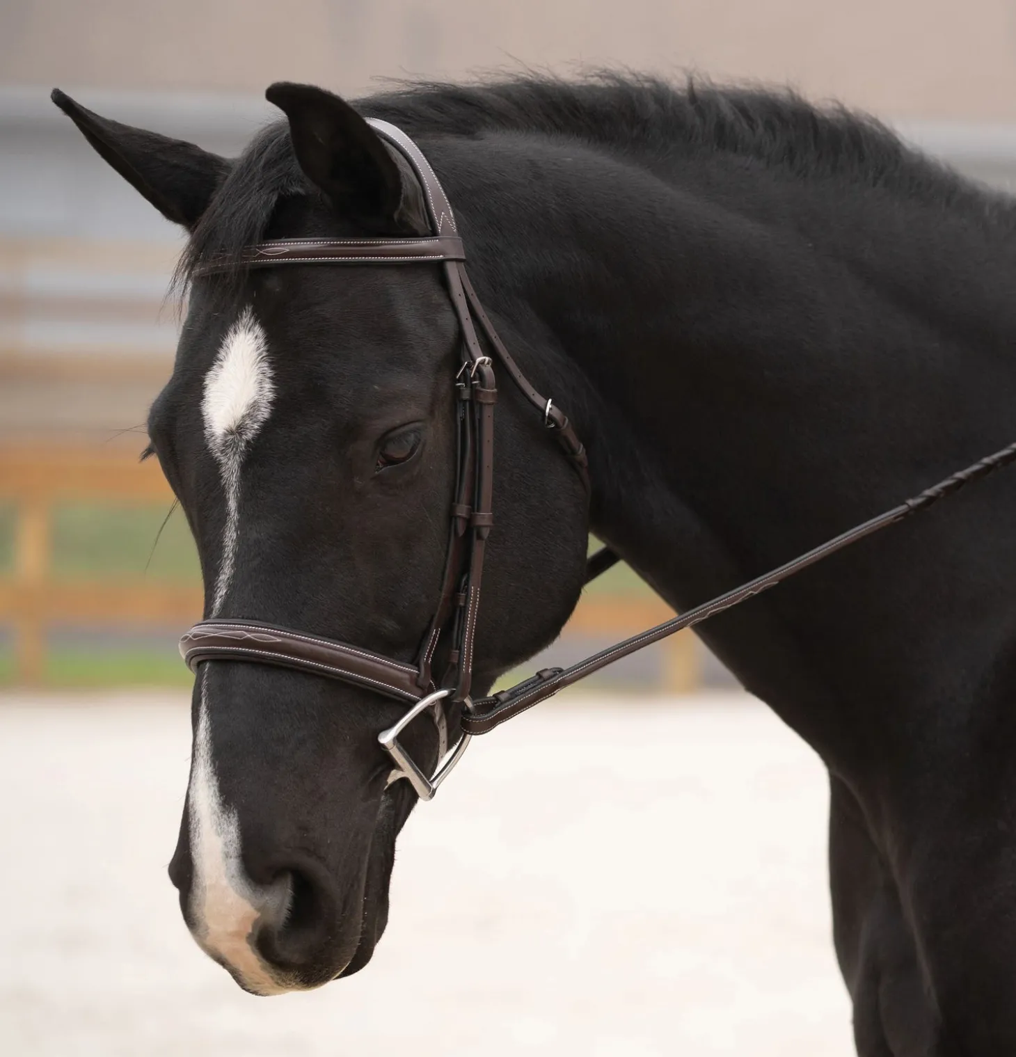 Black Oak Cypress Hunter Bridle