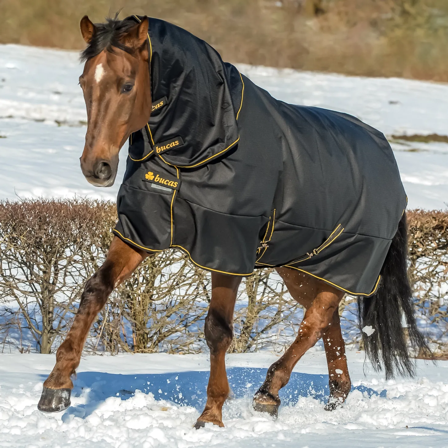 Bucas Irish Extra Classic Heavyweight Turnout Blanket