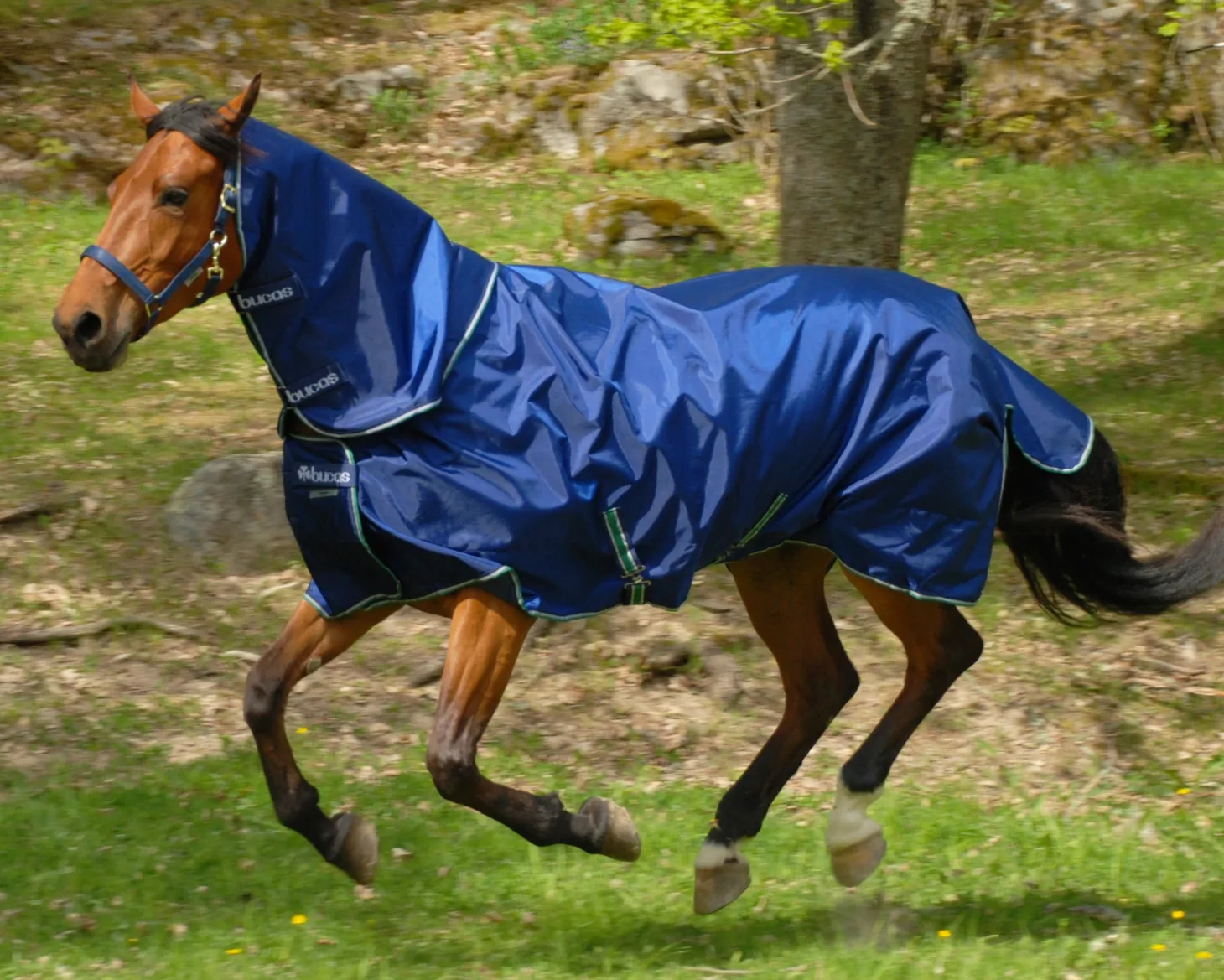 Bucas Smartex Rain/Turnout Sheet