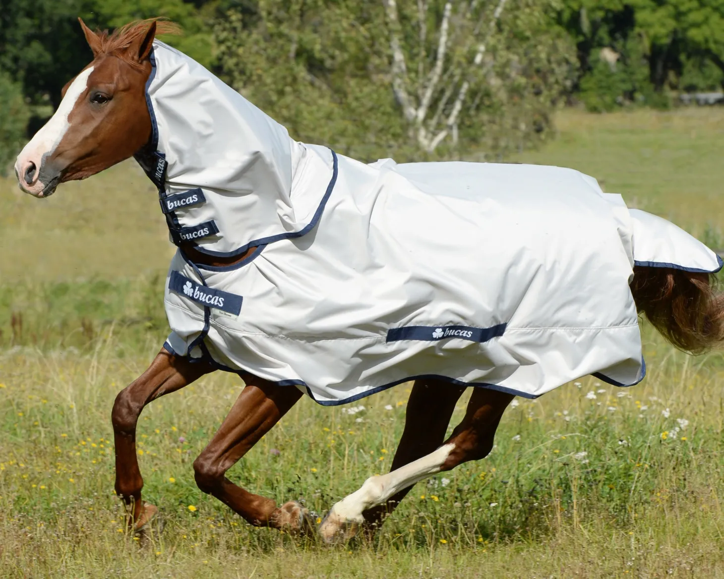 Bucas Sun Shower Turnout Sheet