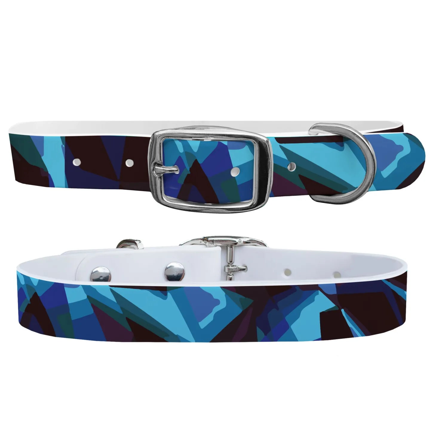 C4 Dog Collar