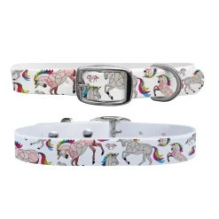 C4 Dog Collar