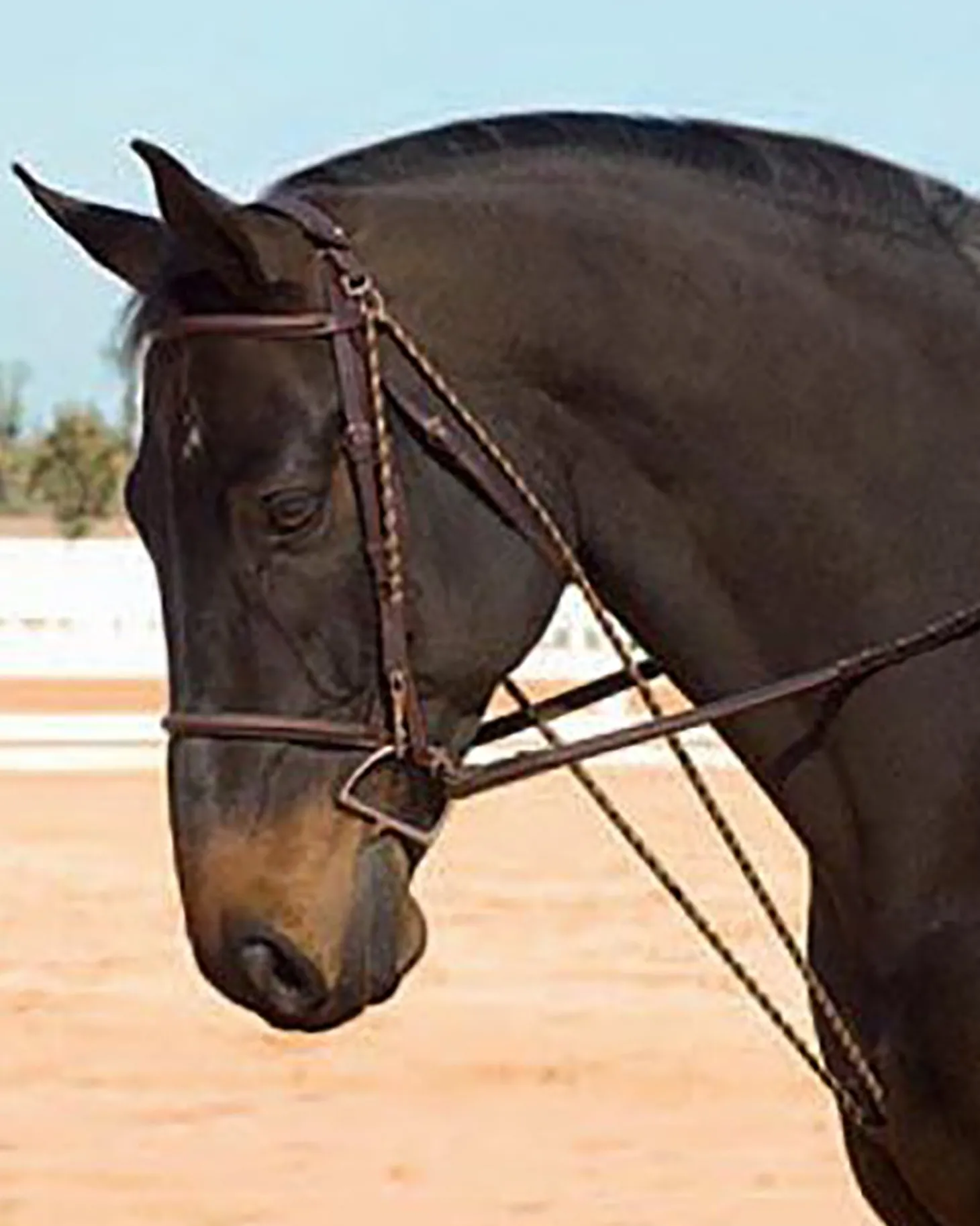 Camelot™ Chambon