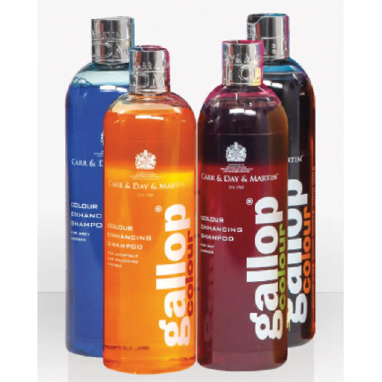 Carr & Day & Martin® Gallop Colour Enhancing Shampoo