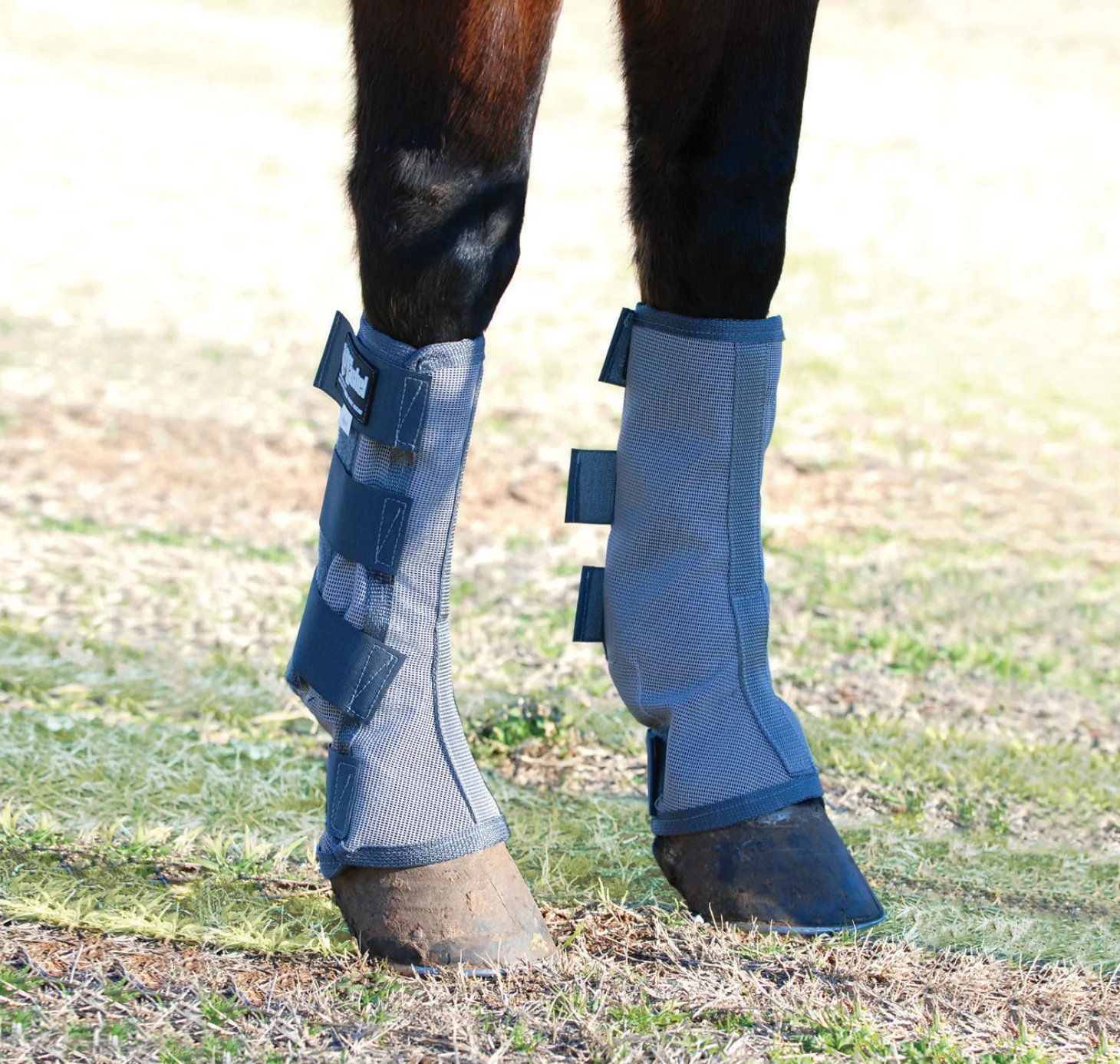 Cashel® Cool Crusader™ Leg Guards
