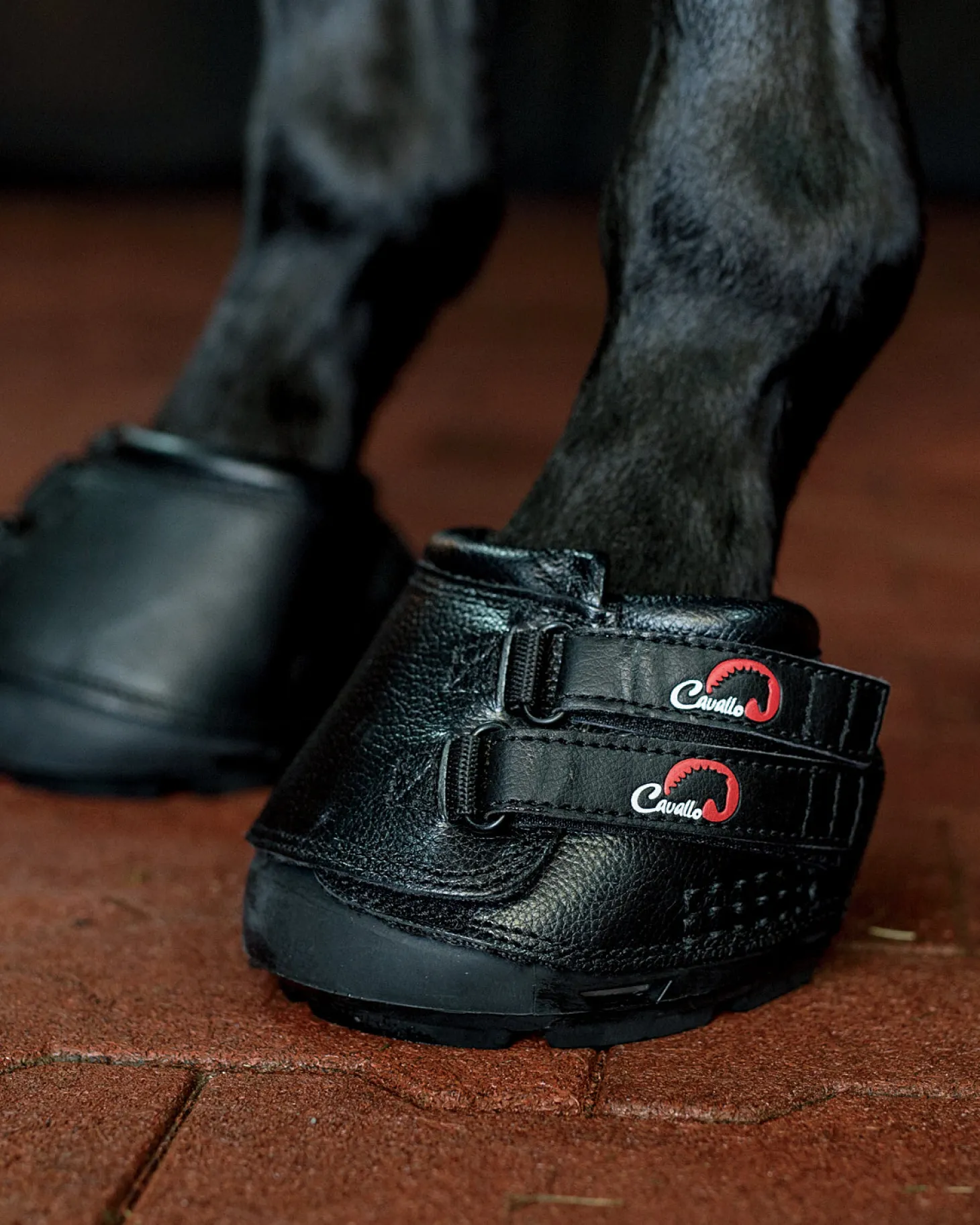 Cavallo™ Simple Horse Boot