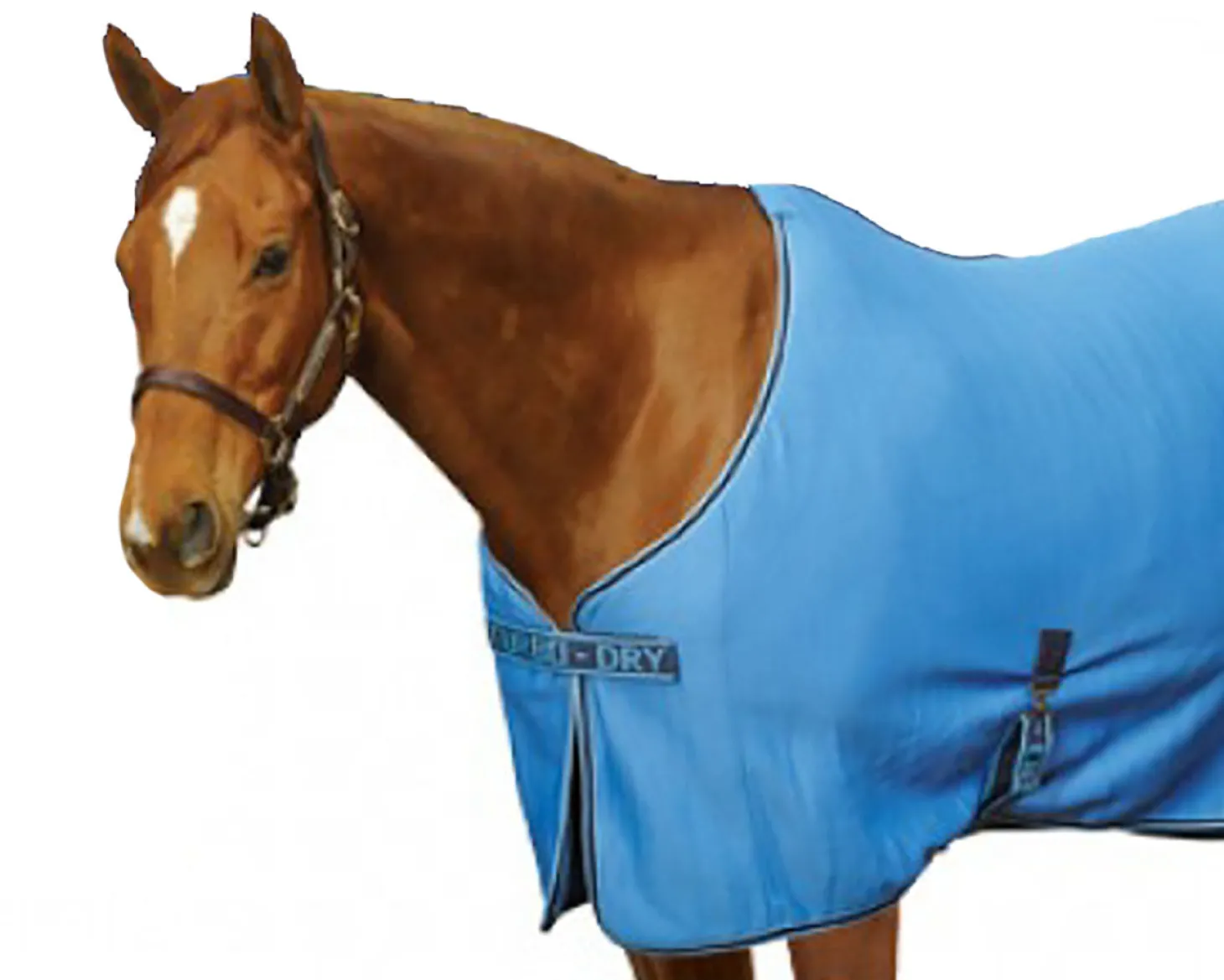 Centaur® Turbo-Dry™ Sheet