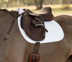 Circuit™ Premier Monoflap Event Saddle