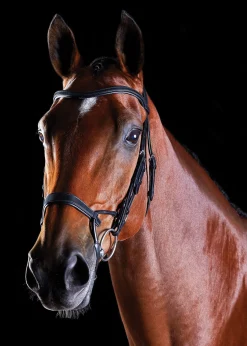 Collegiate® ComFiTec™ Training Bridle
