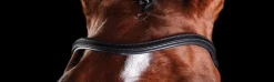 Collegiate® ComFiTec™ Training Bridle