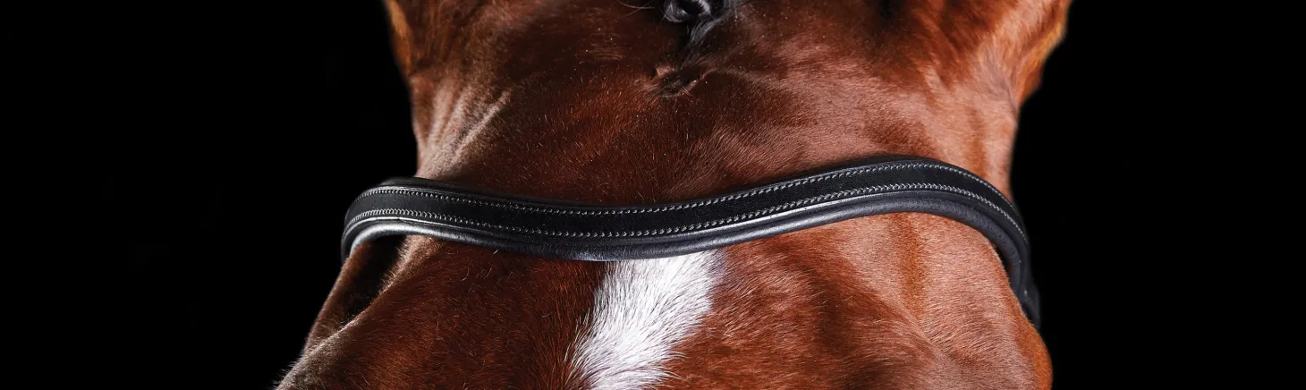Collegiate® ComFiTec™ Training Bridle