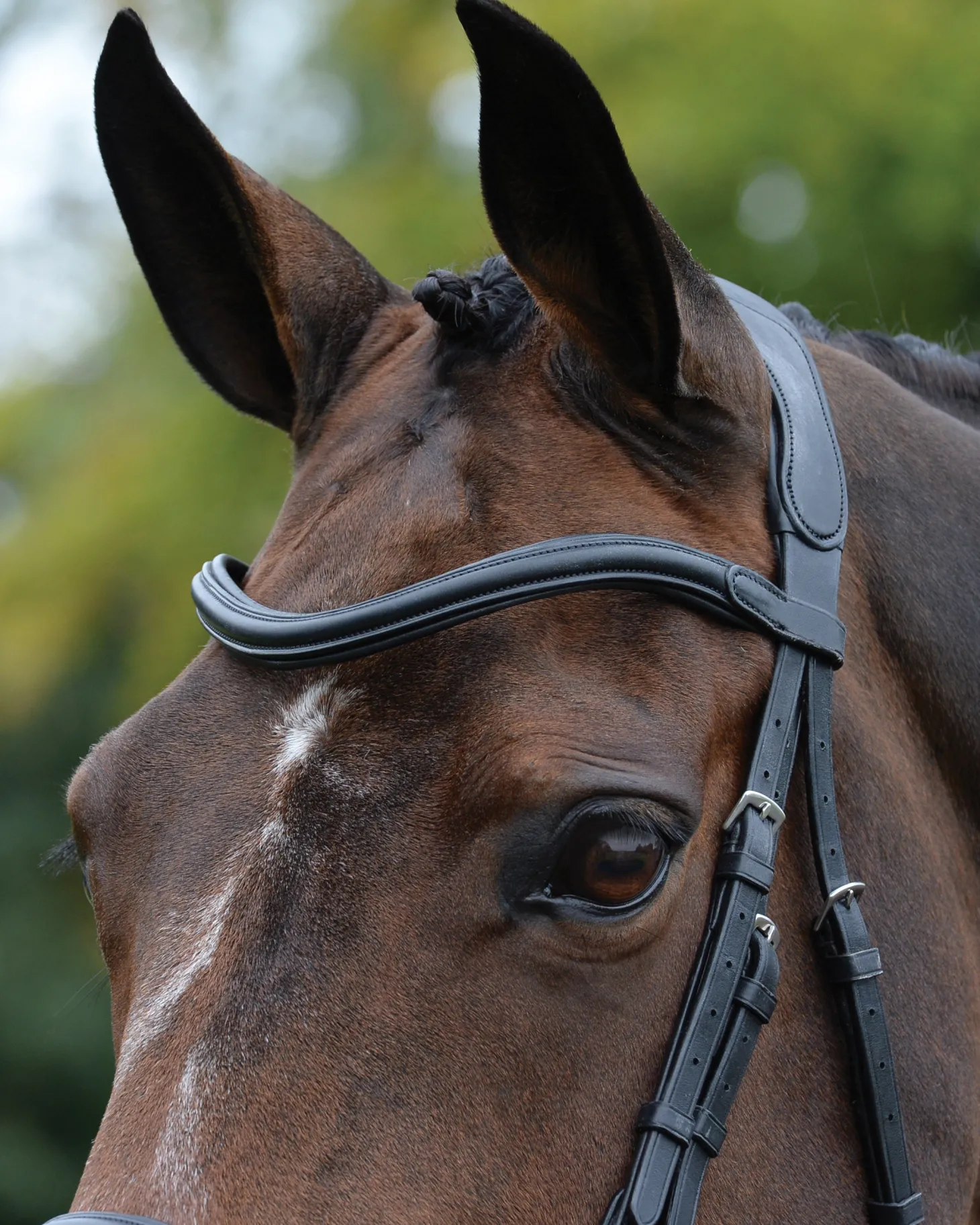 Collegiate® ComFiTec™ Vogue Anatomic Bridle