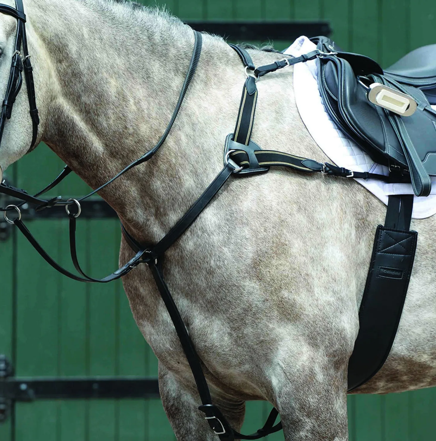 Collegiate® Essential 5-Point Breastplate