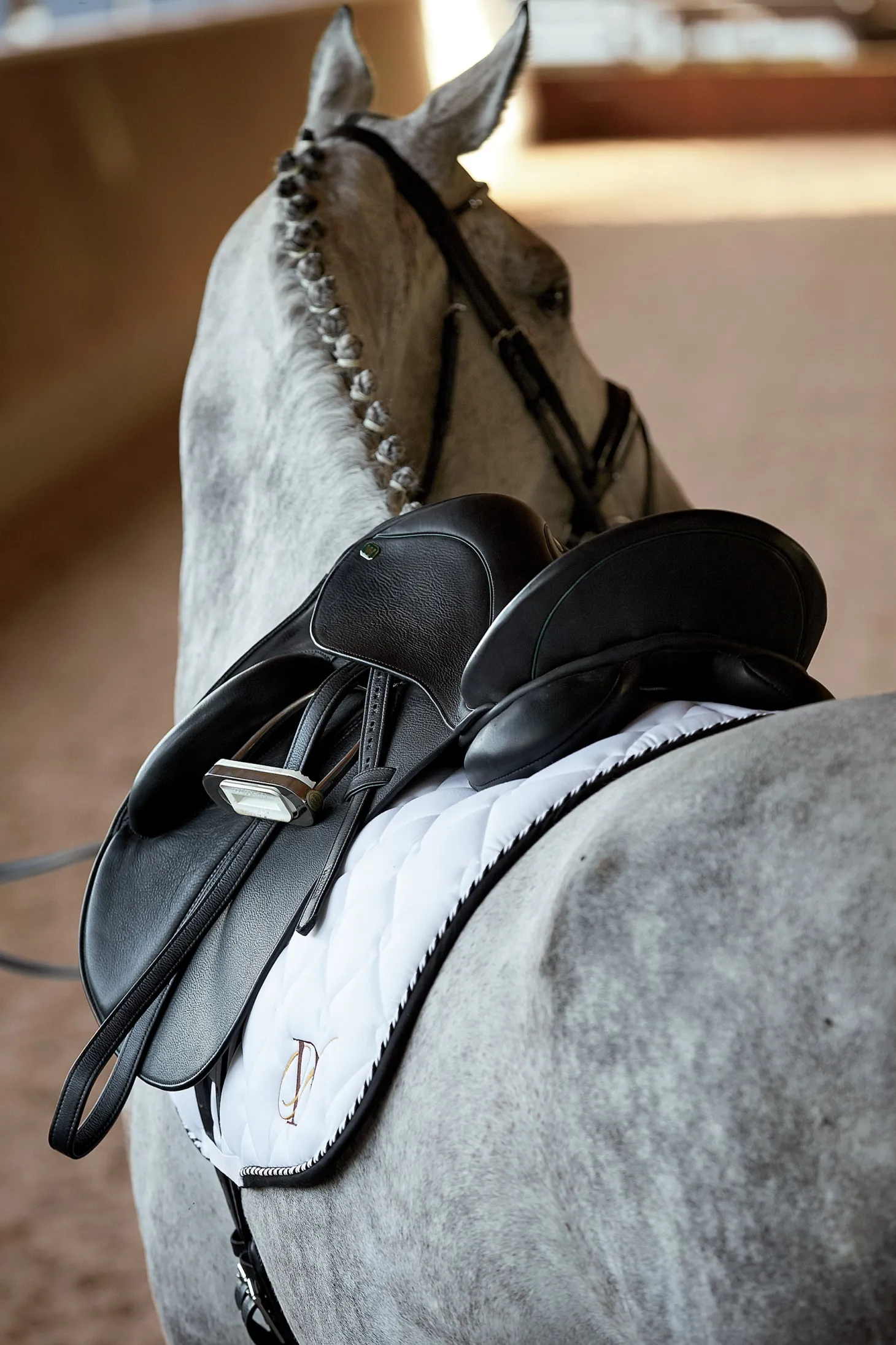 DS Classic Dressage Saddle