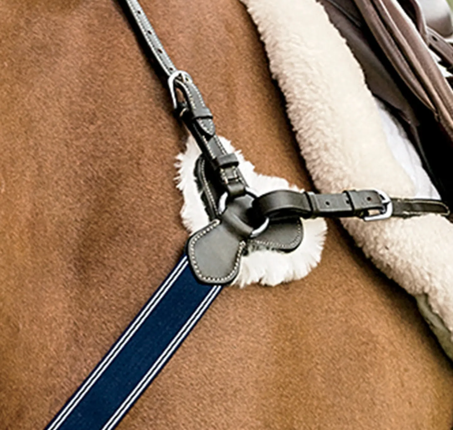 DS 3-Point Breastplate