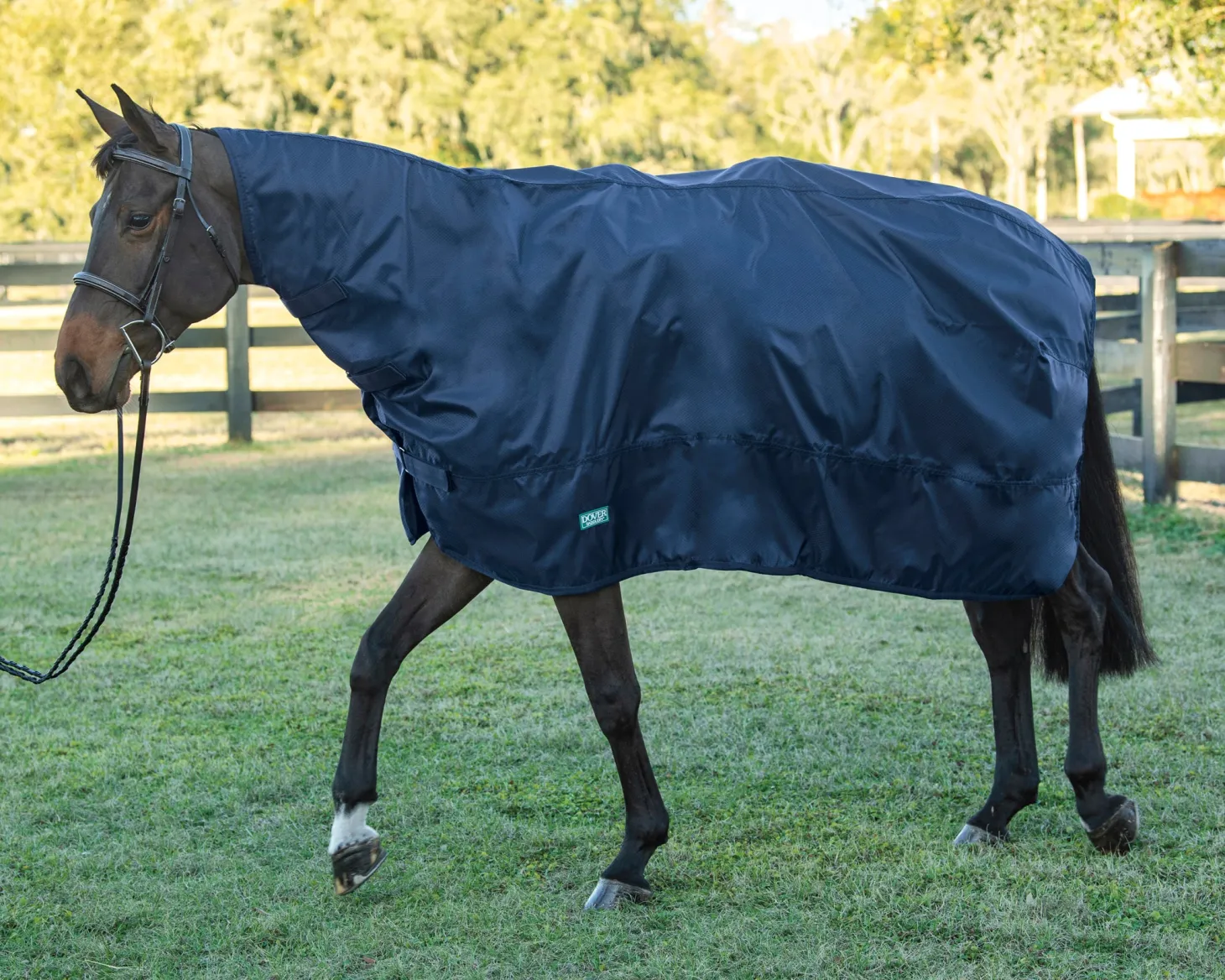 DS Rain Sheet