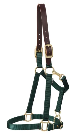 DS Heavy Nylon Breakaway Halter