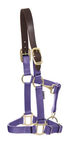 DS Heavy Nylon Breakaway Halter
