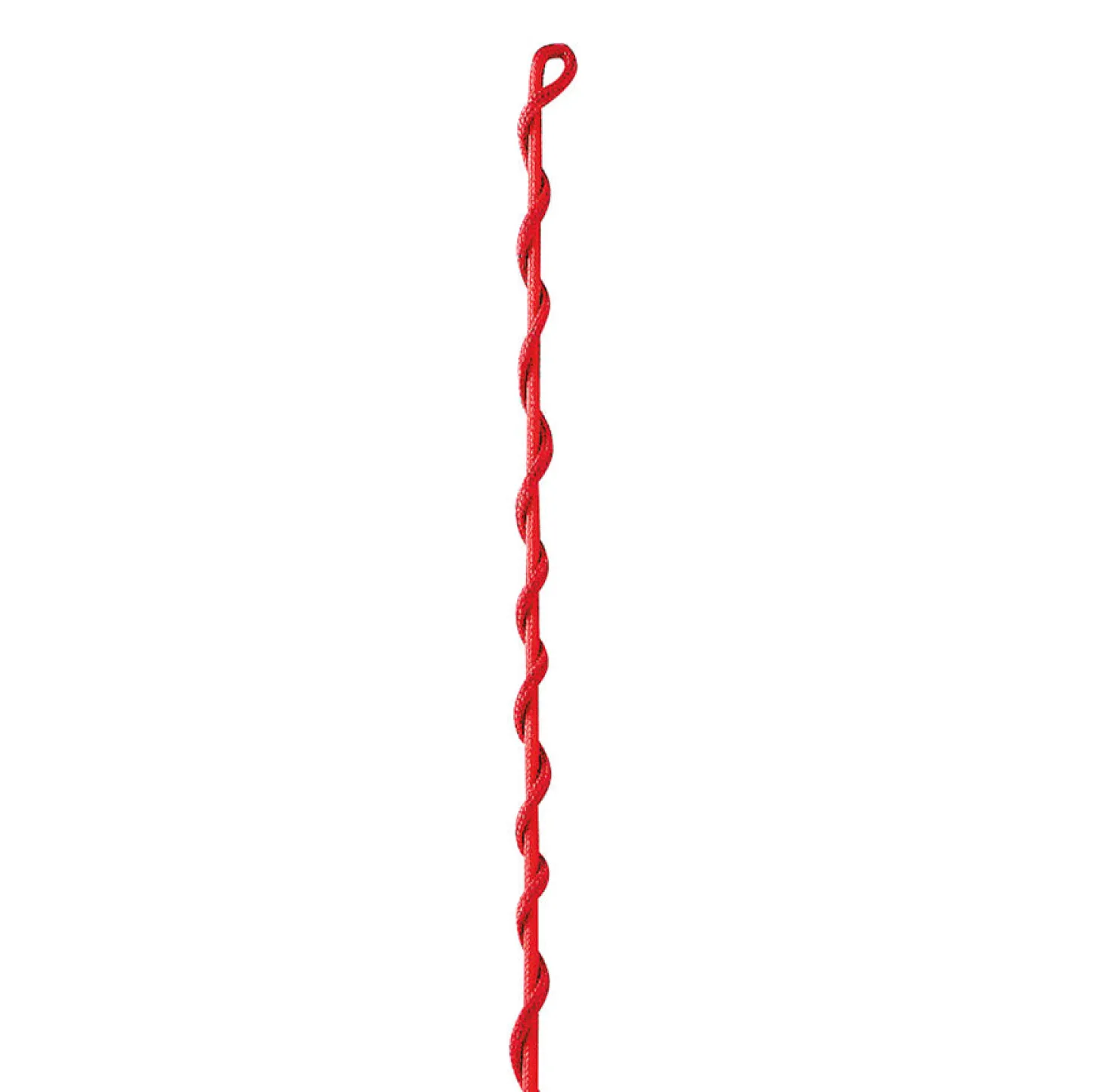 Dublin® Nylon Lunge Whip