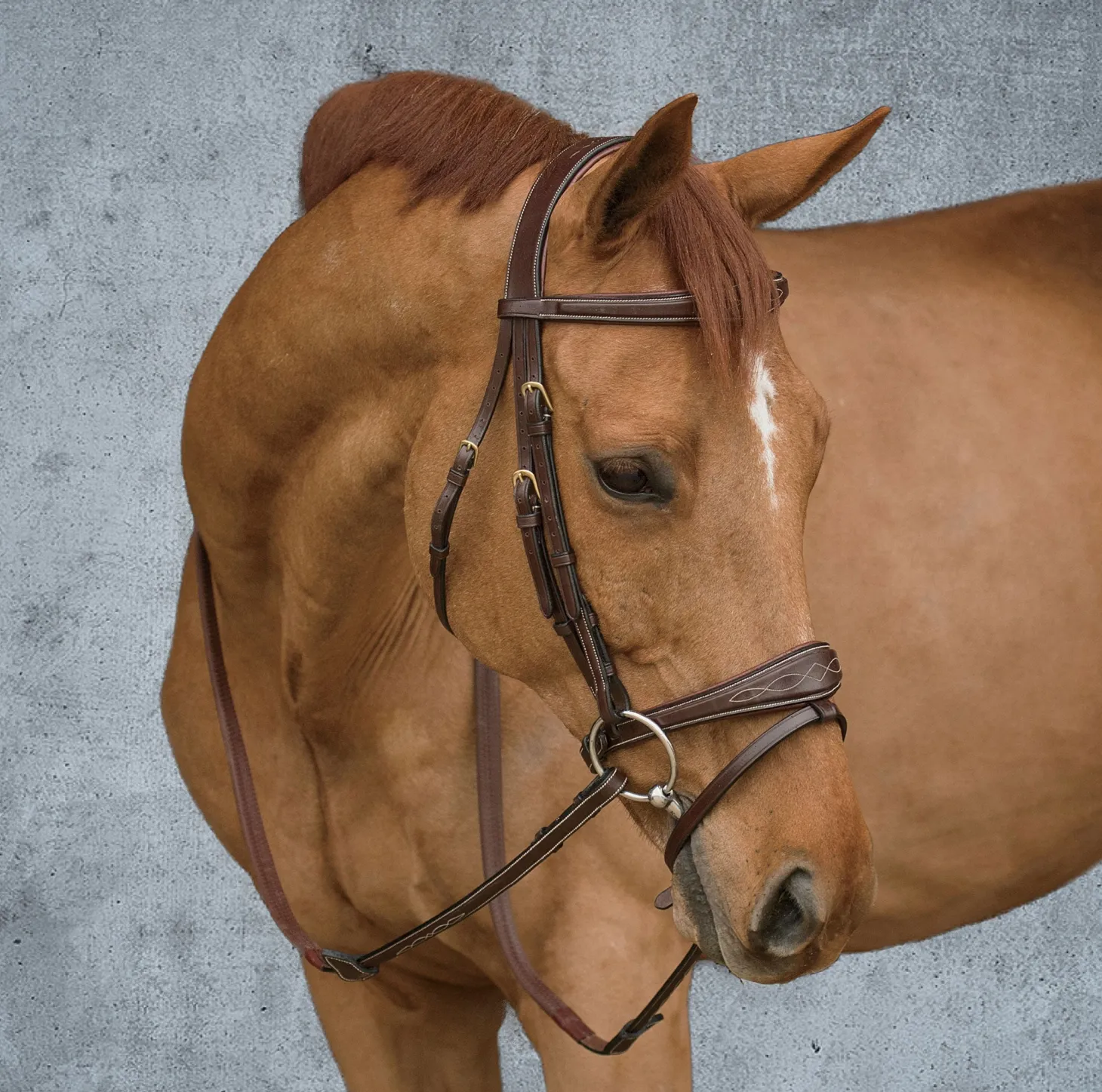 Dy'on® Anatomic Bridle