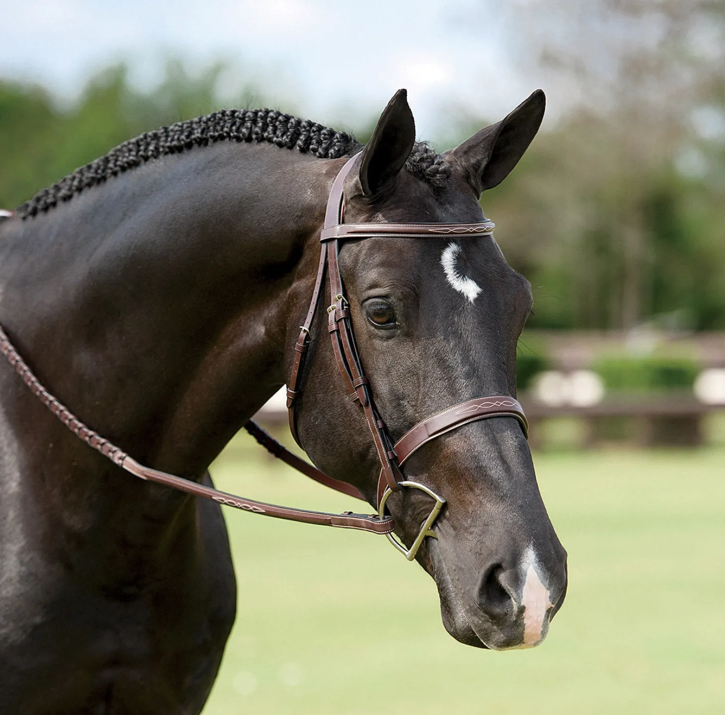 Dy'on® Wide Nose Hunter Bridle