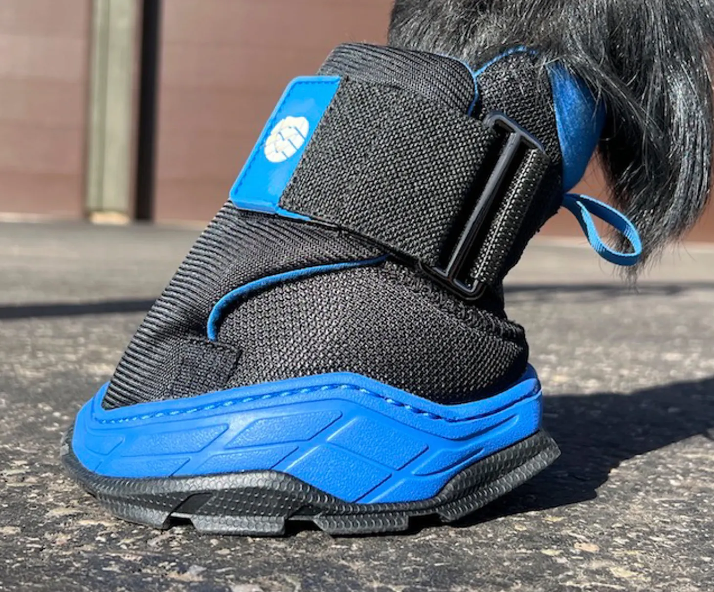 EasyCare Easyboot Rx2