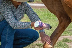 Equiderma® Skin Lotion