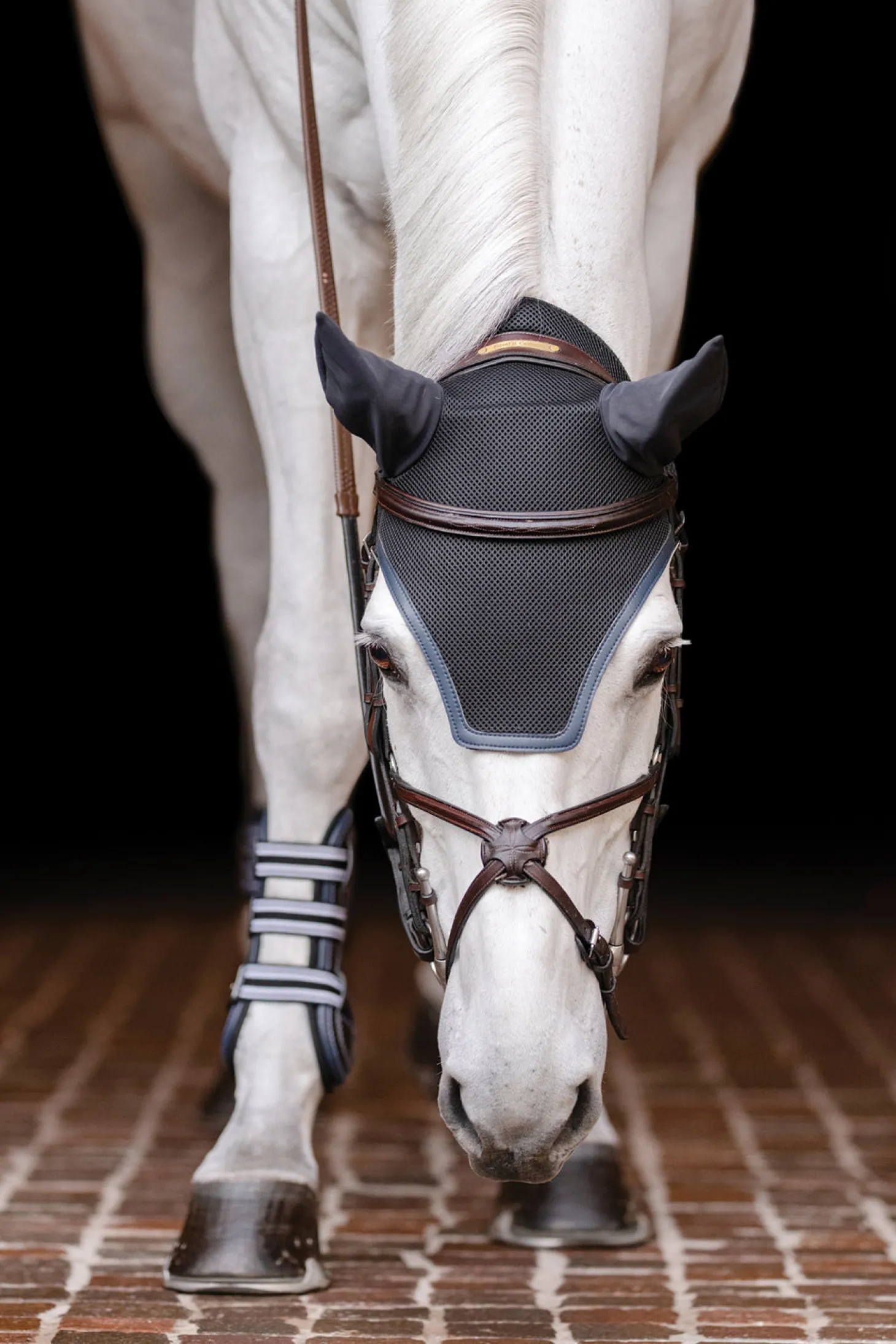 EquiFit® Ear Bonnet with Colored Trim and No Logo