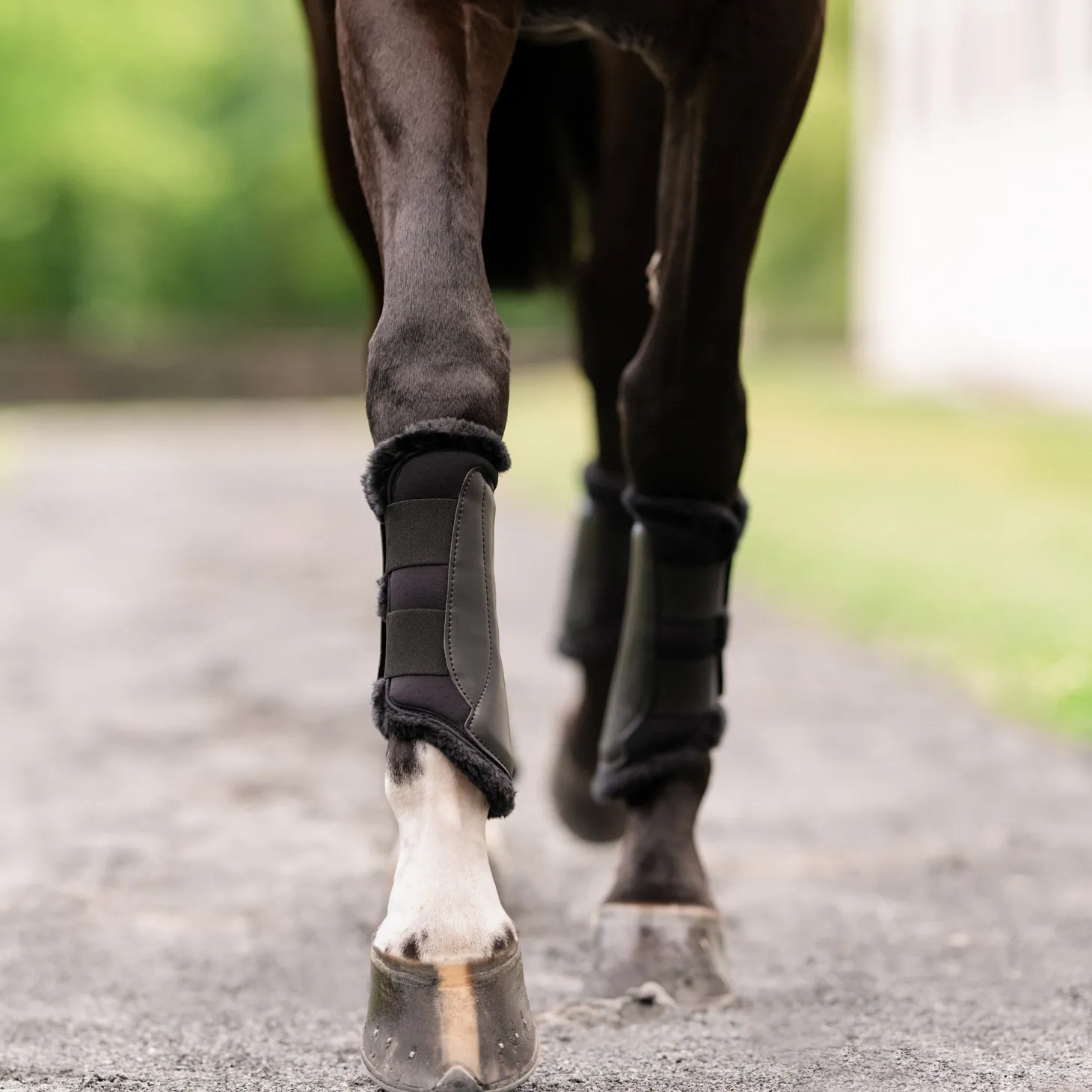 EquiFit® Essential EveryDay™ Front Boots, Vegan SheepsWool™