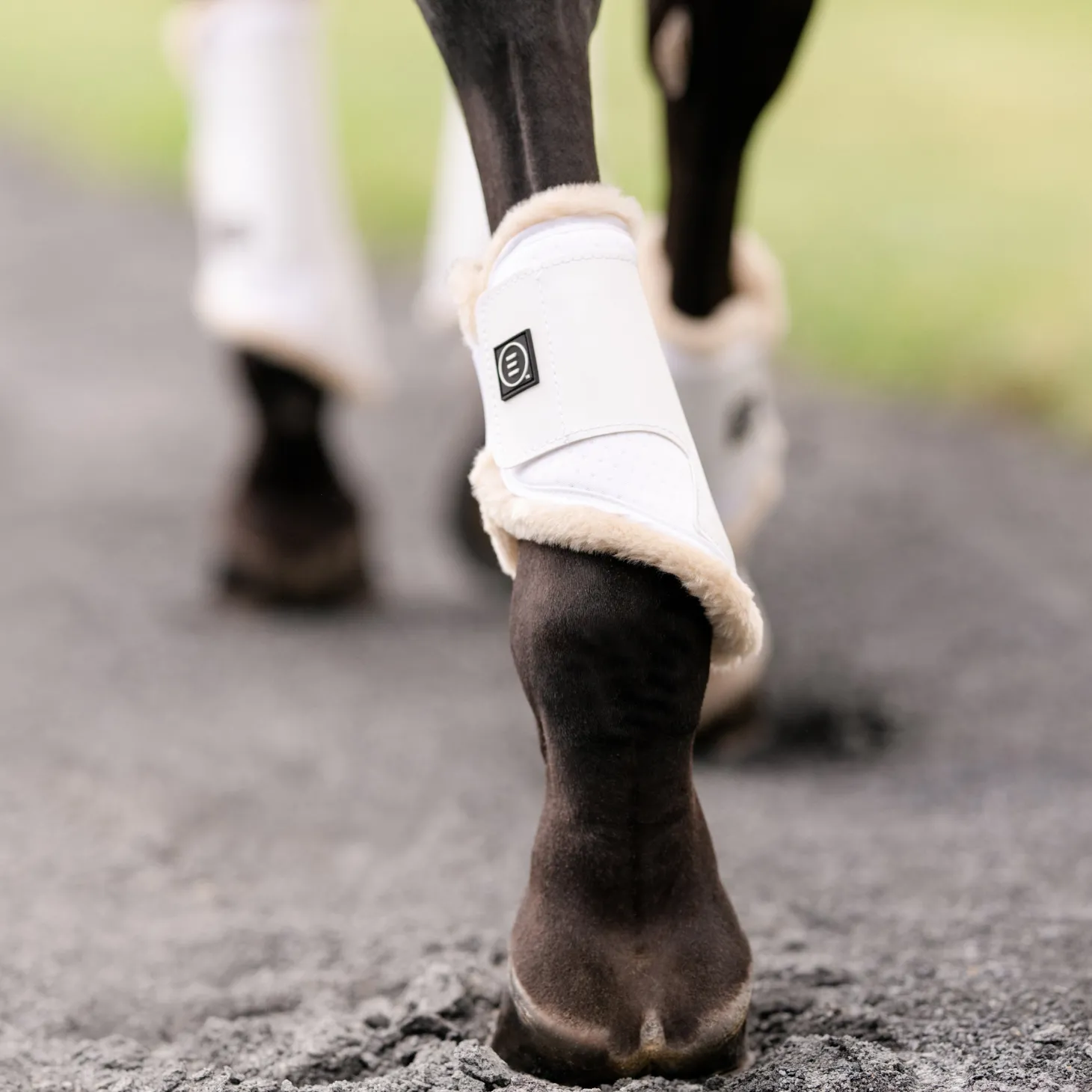 EquiFit® Essential EveryDay™ Hind Boots, Vegan SheepsWool™