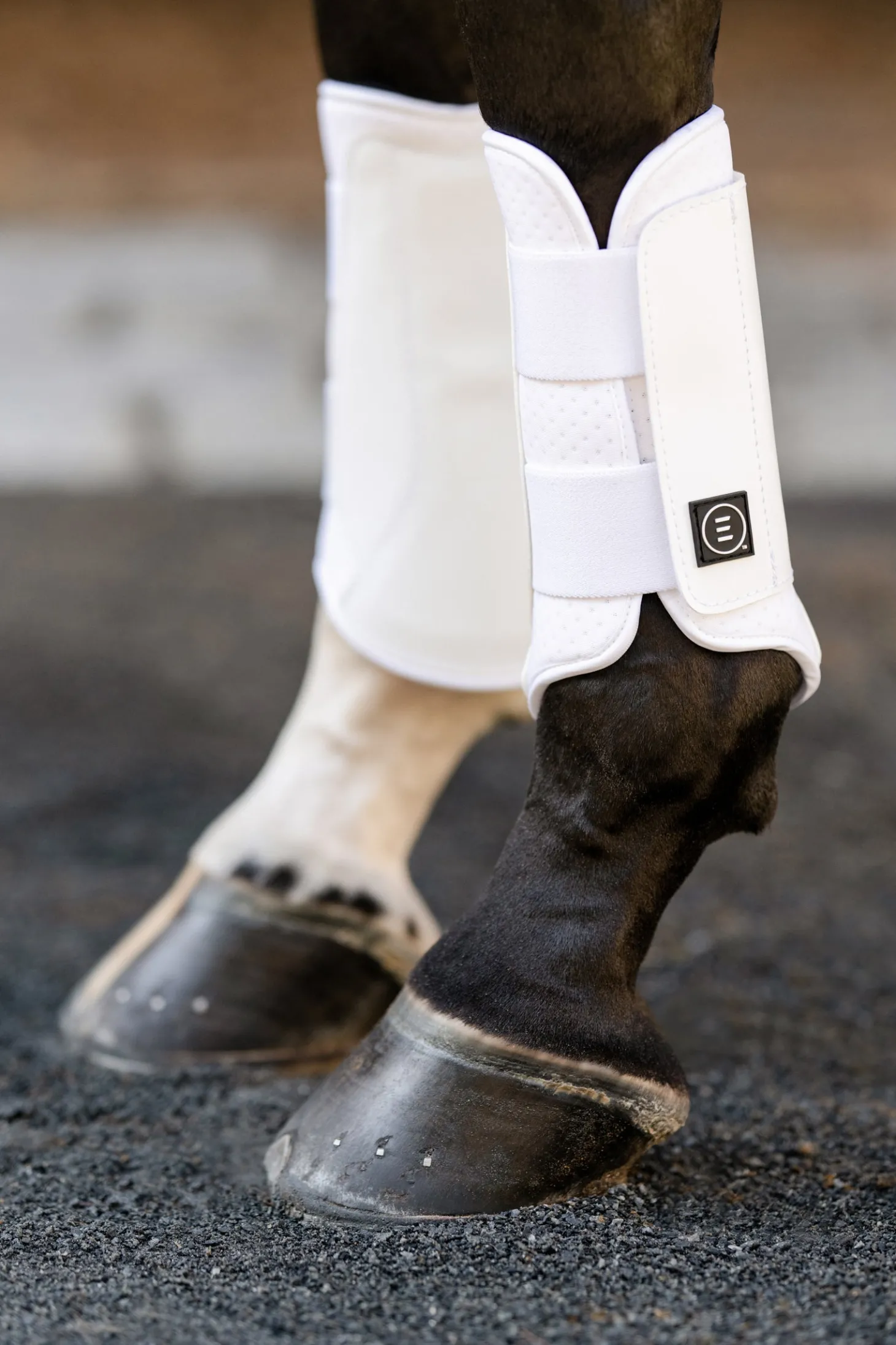 EquiFit® Essential EveryDay Front Boot