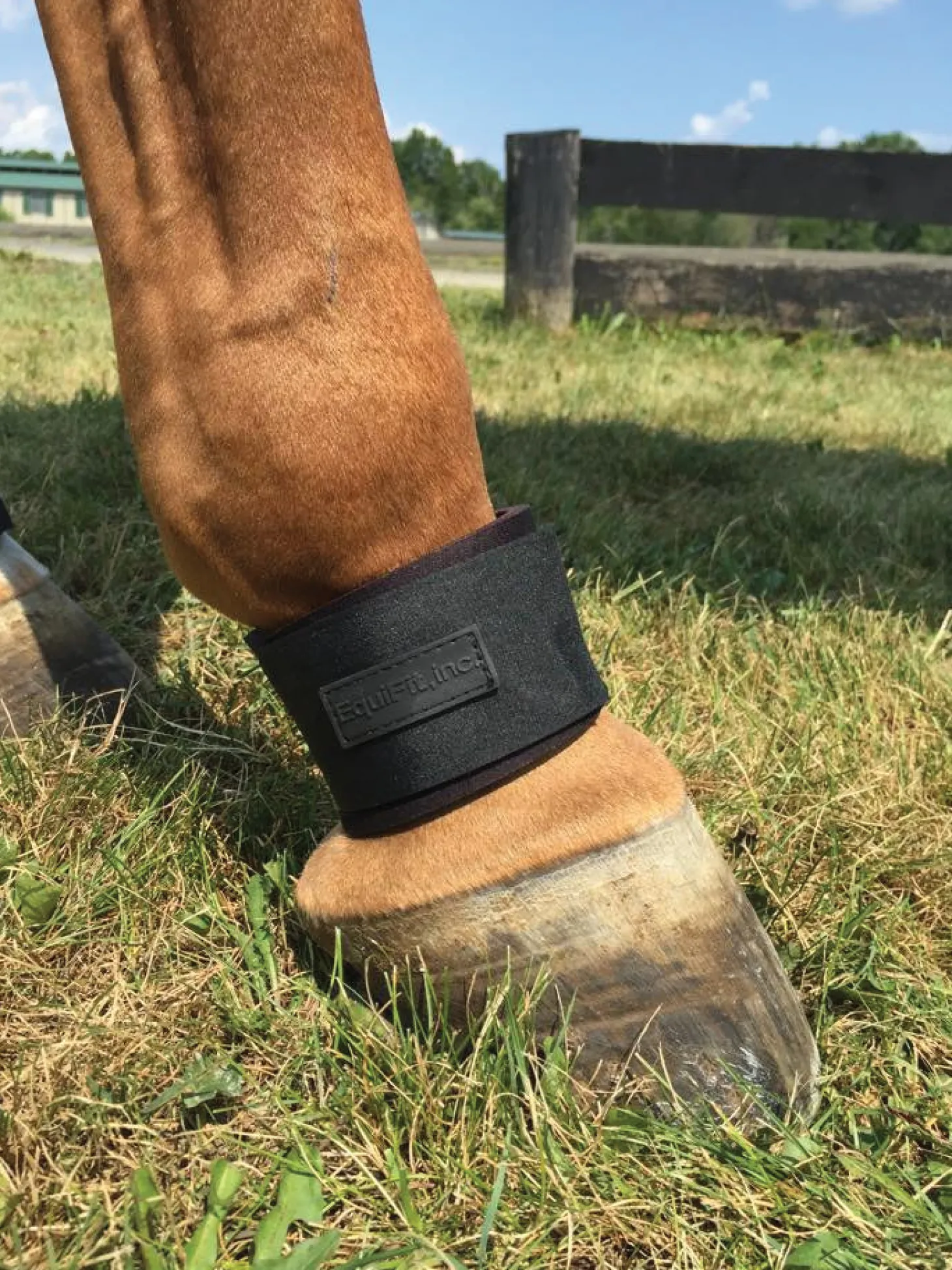 EquiFit® Pastern Wrap