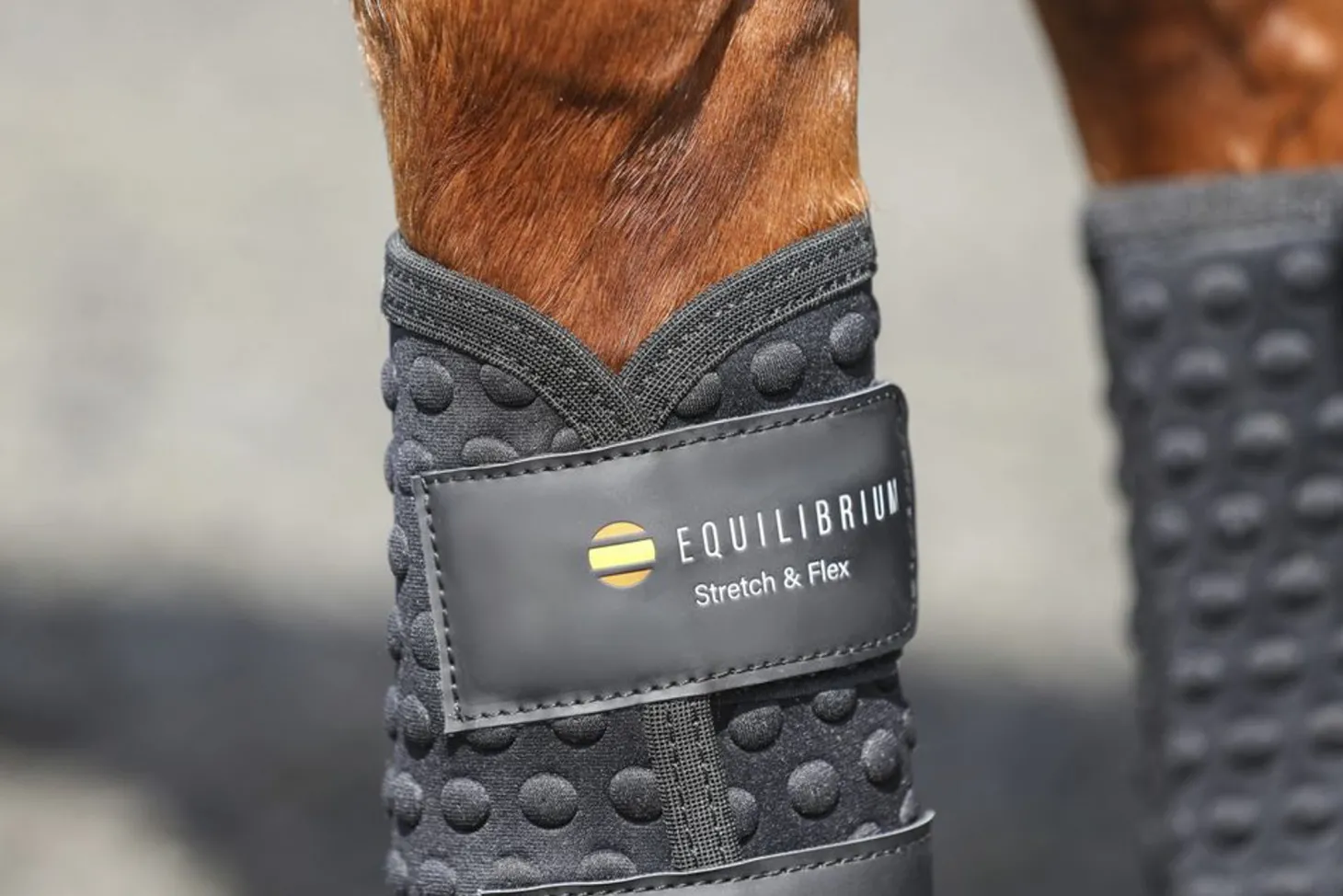 Equilibrium Stretch & Flex Training Wraps