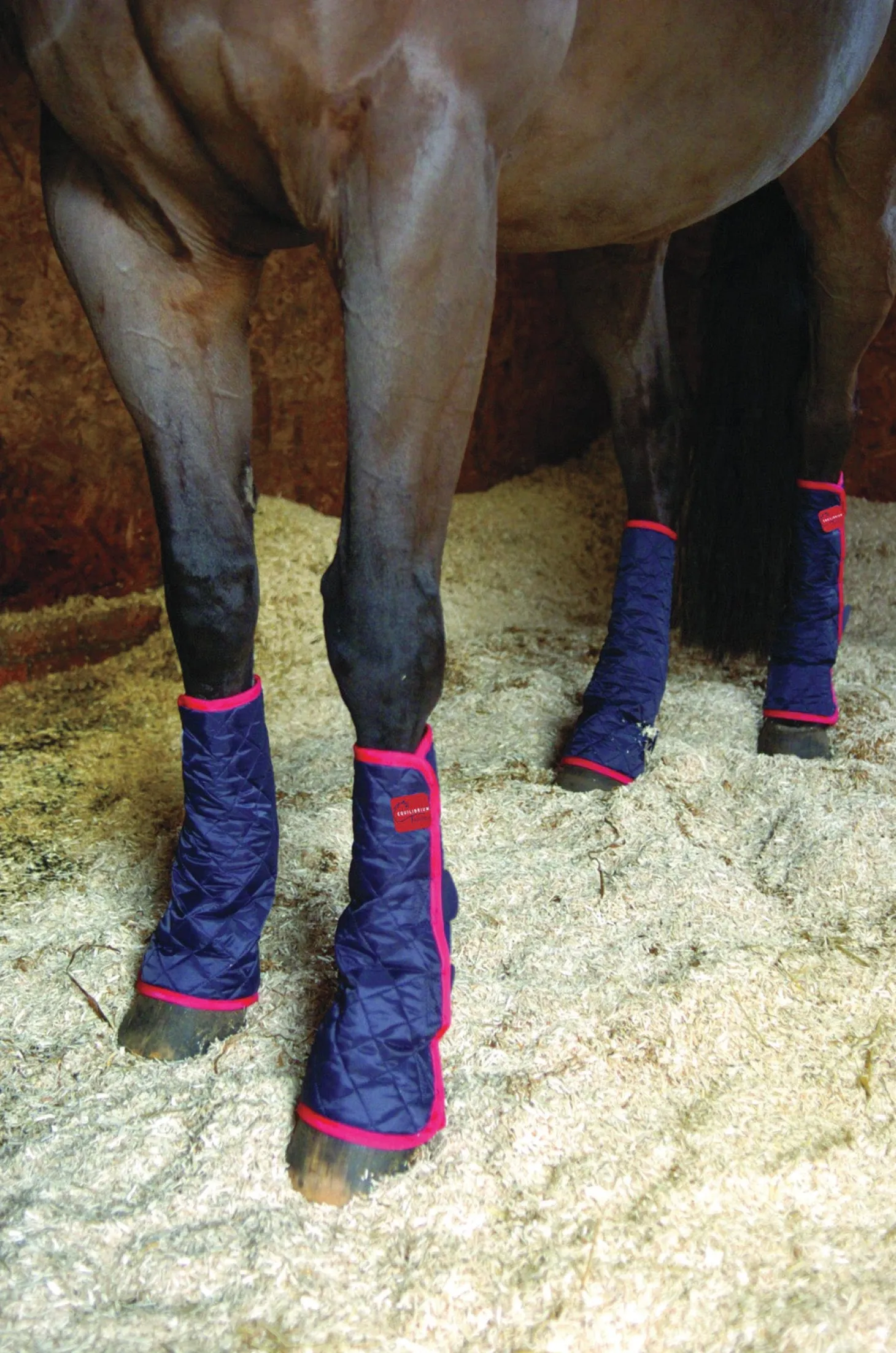 Equilibrium Therapy® Magnetic Chaps