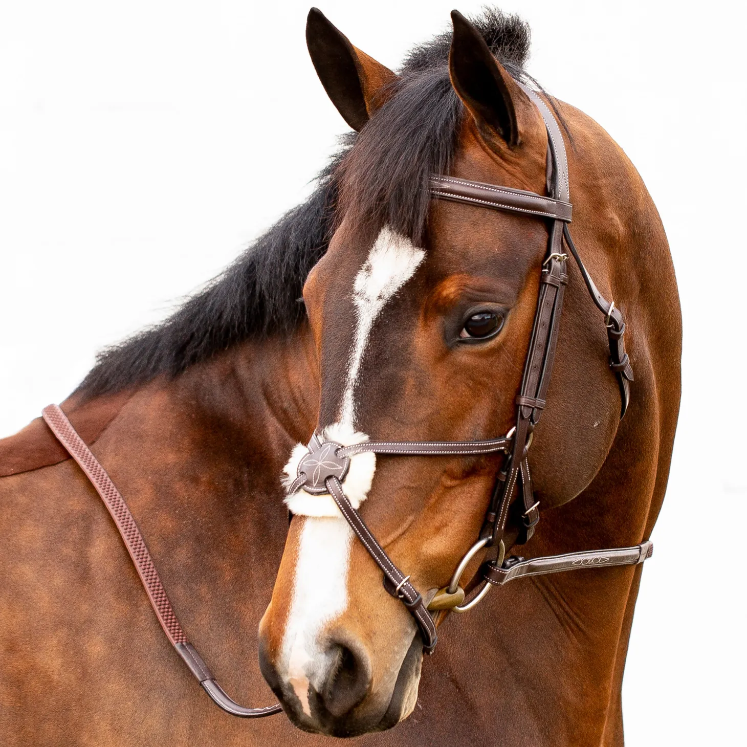 Equinavia Valkyrie Fancy-Stitched Figure-8 Bridle & Reins
