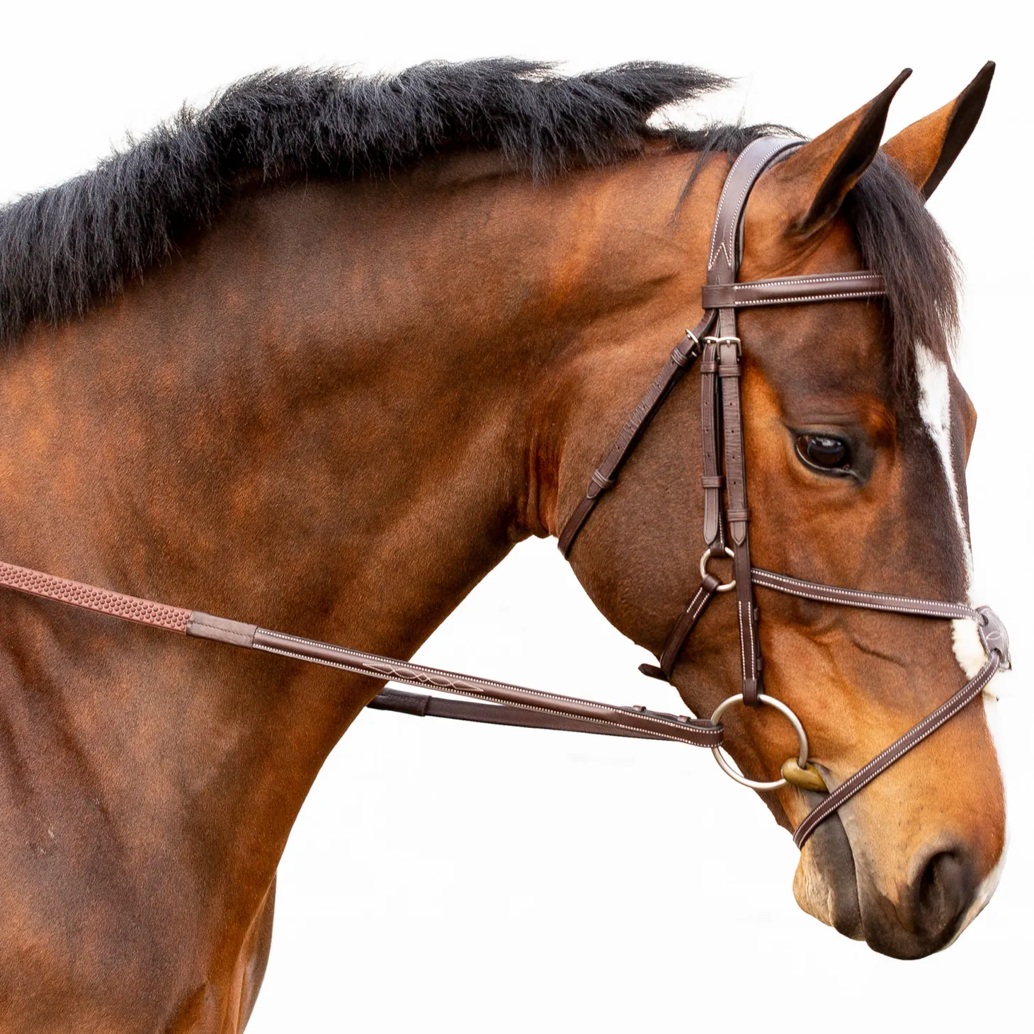 Equinavia Valkyrie Fancy-Stitched Figure-8 Bridle & Reins