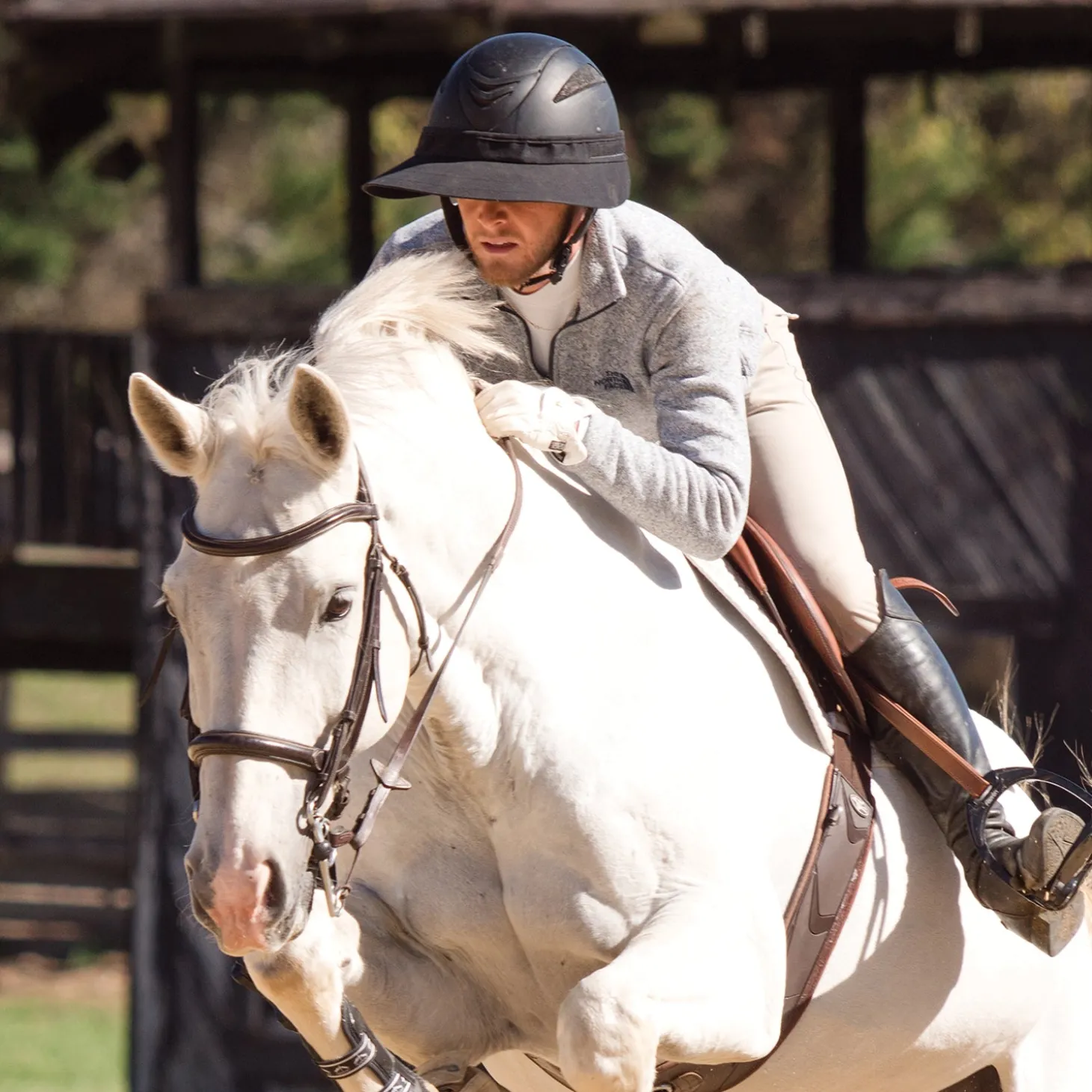 EquiVisor® Shorty