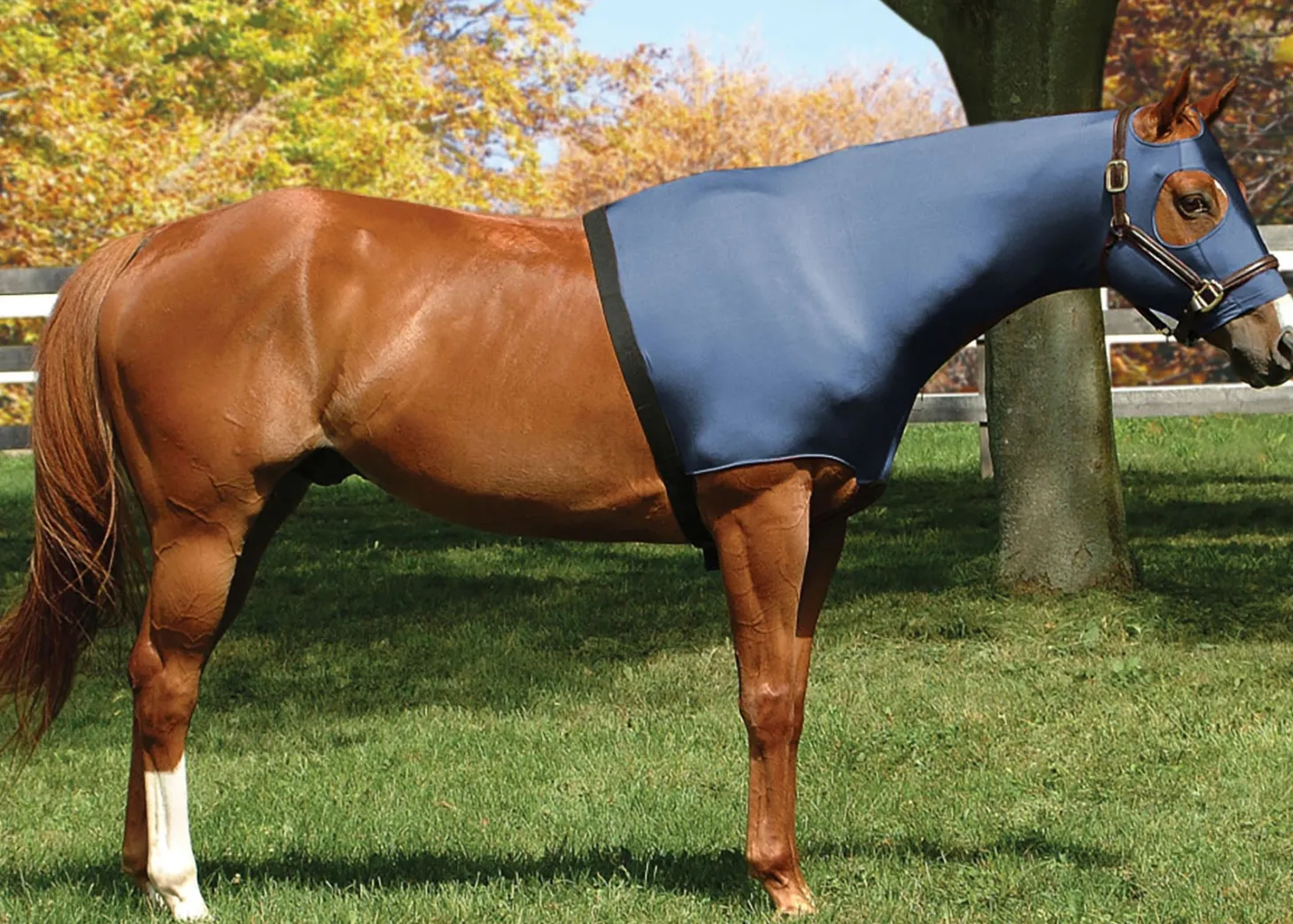 Flex Rider® Stretchies™ Hood