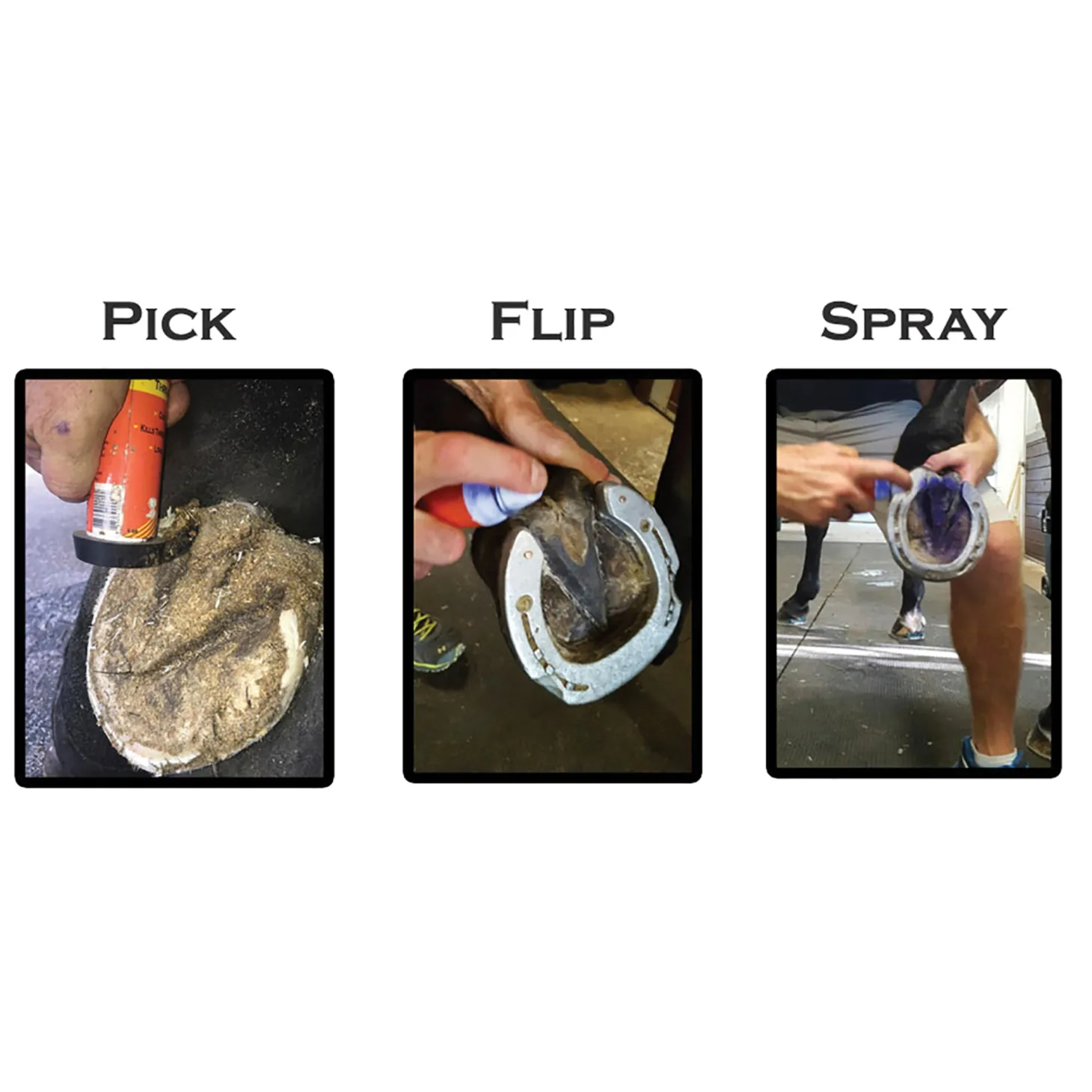 Groom’s Hand Thrush Solution®